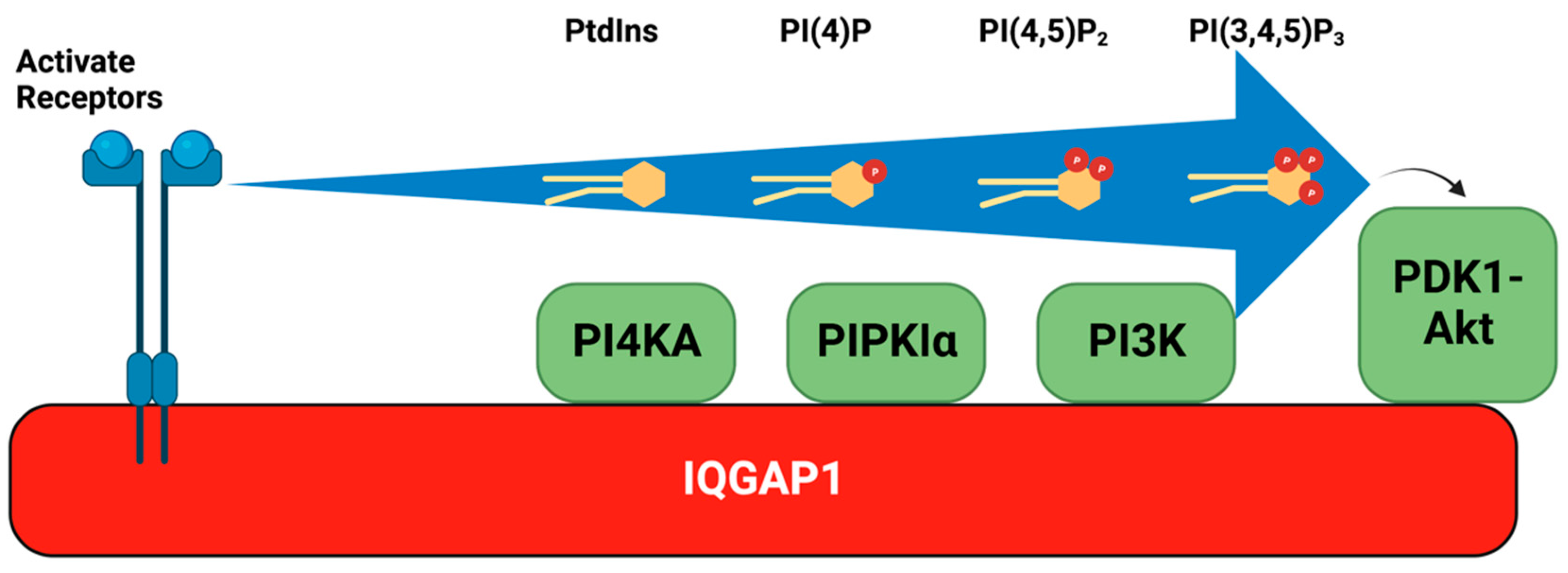 Biomolecules 13 01297 g003