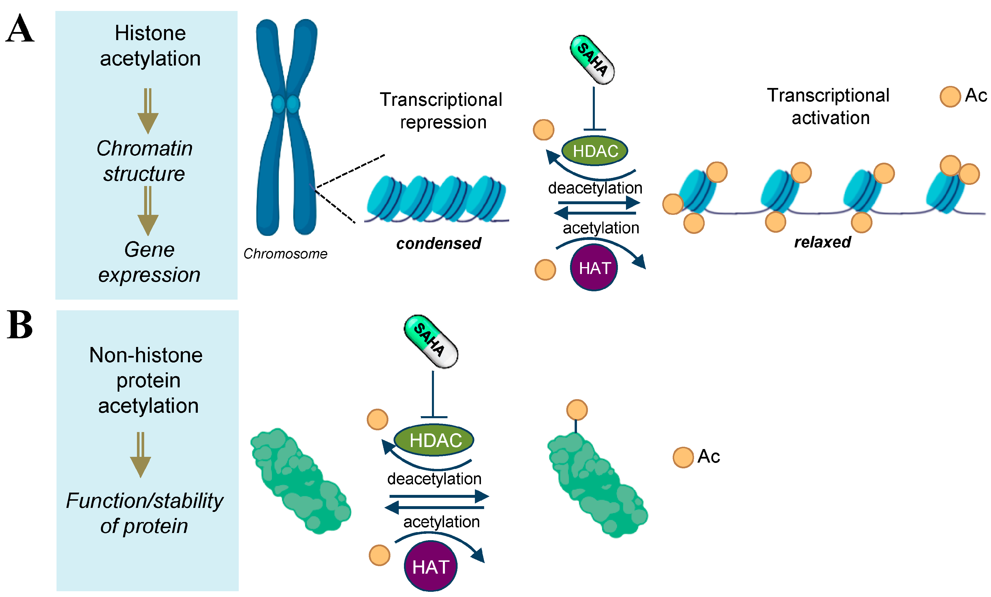 Biomolecules 13 01301 g001