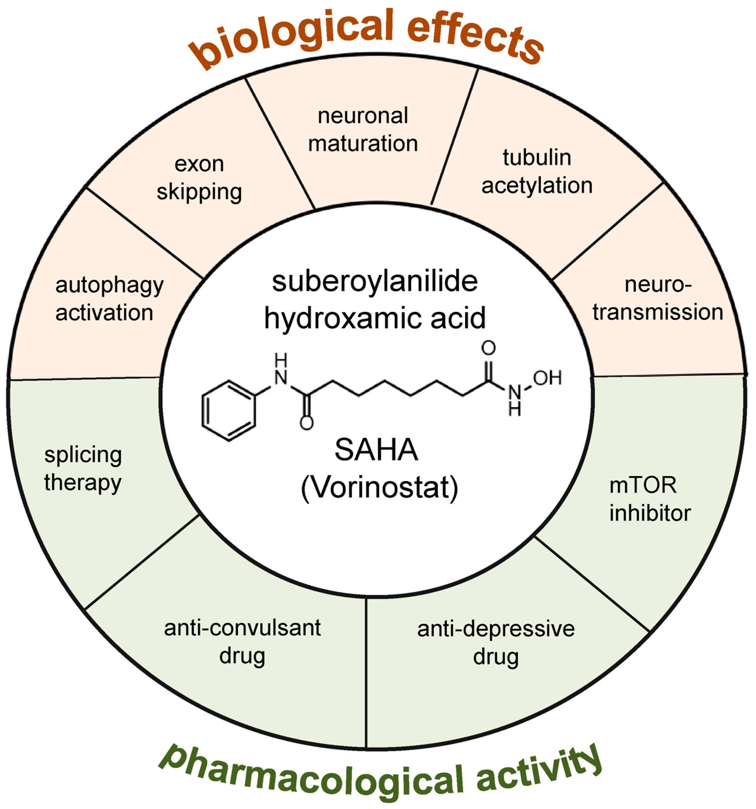 Biomolecules 13 01301 g002