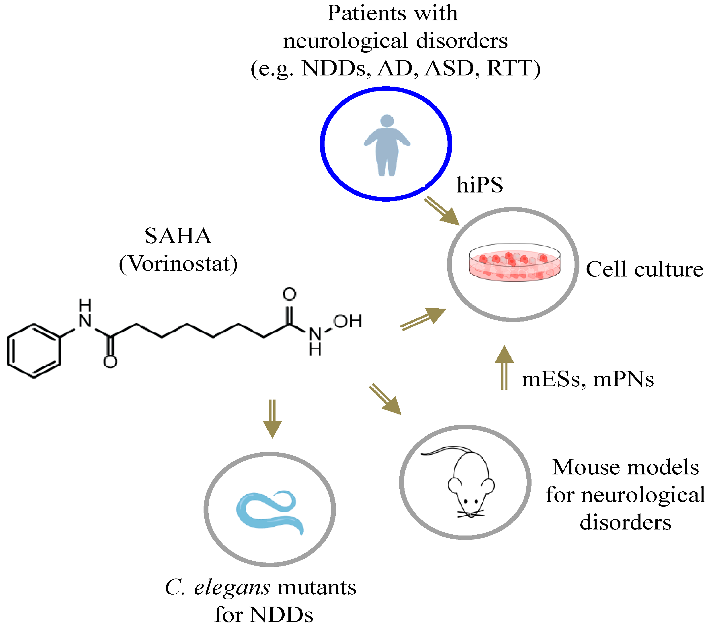 Biomolecules 13 01301 g004