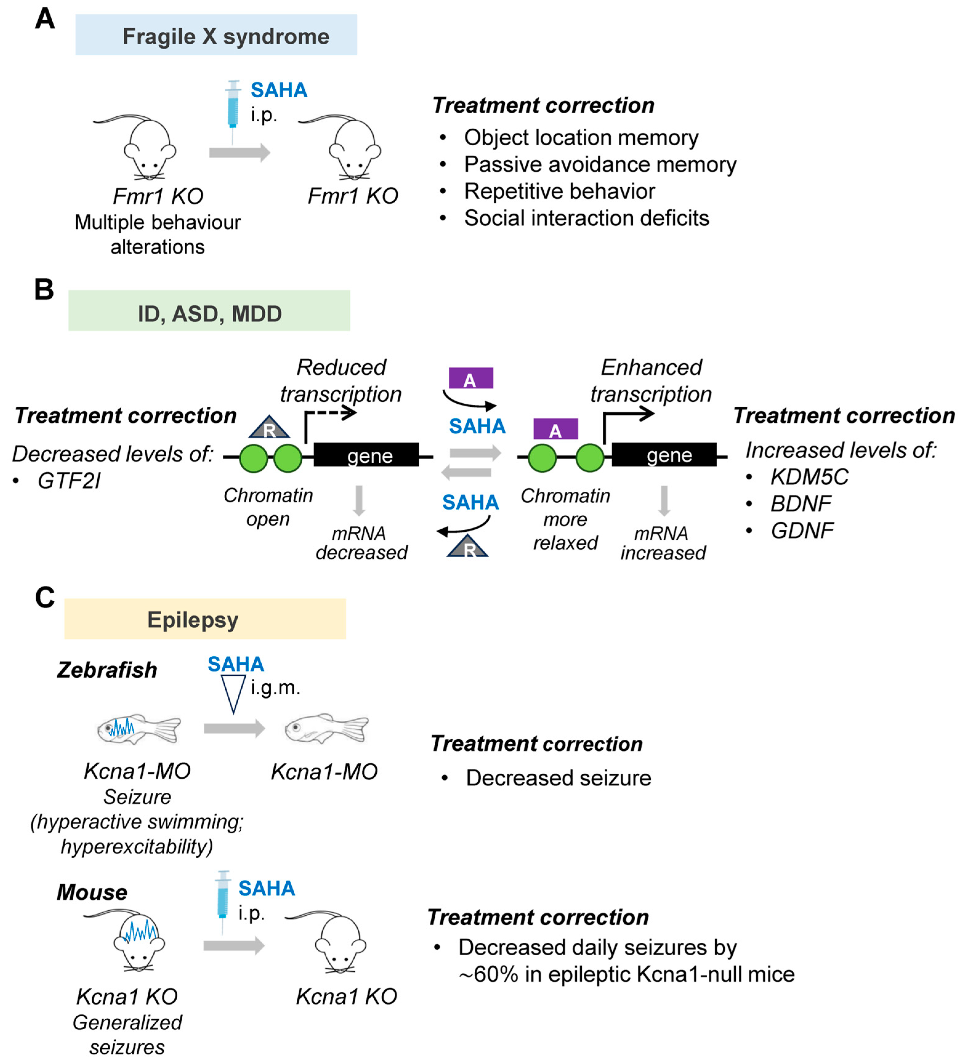 Biomolecules 13 01301 g005