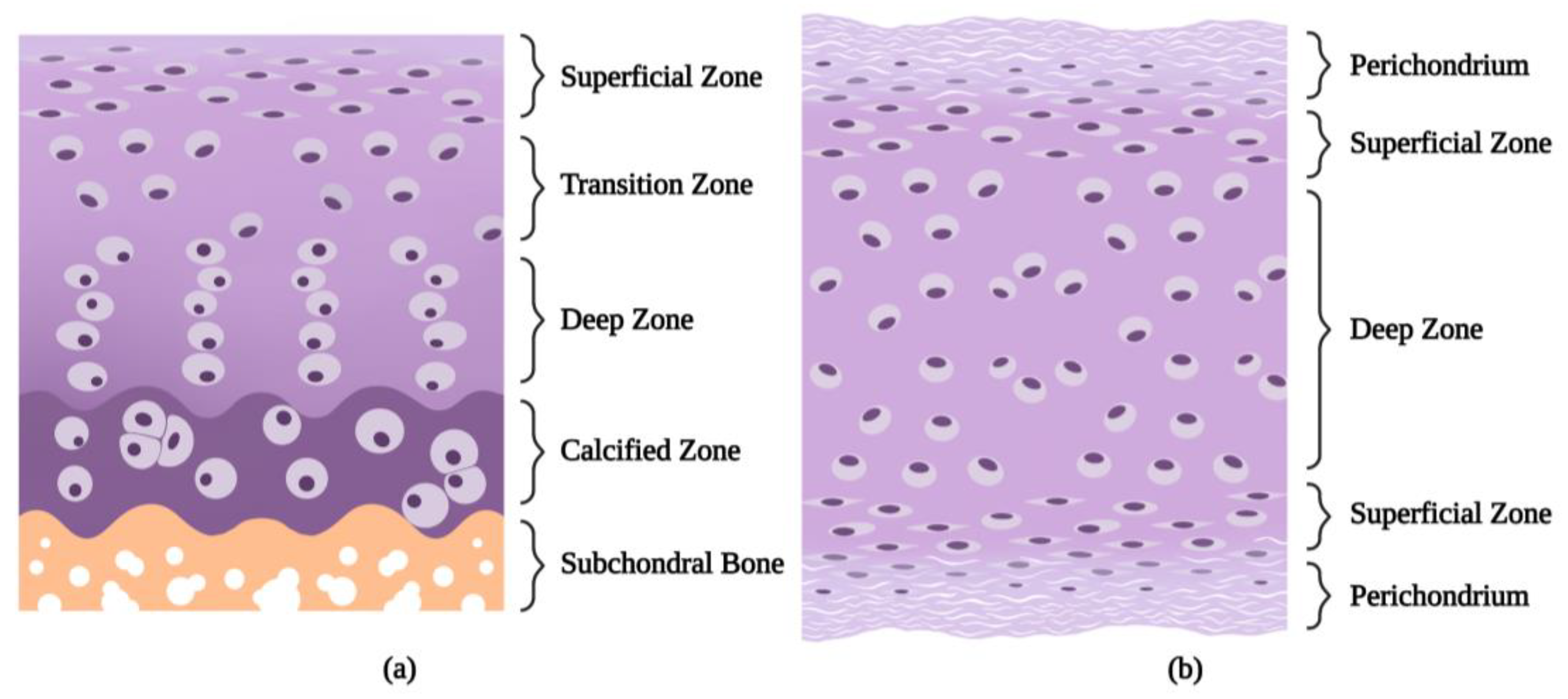 Biomolecules 13 01302 g002