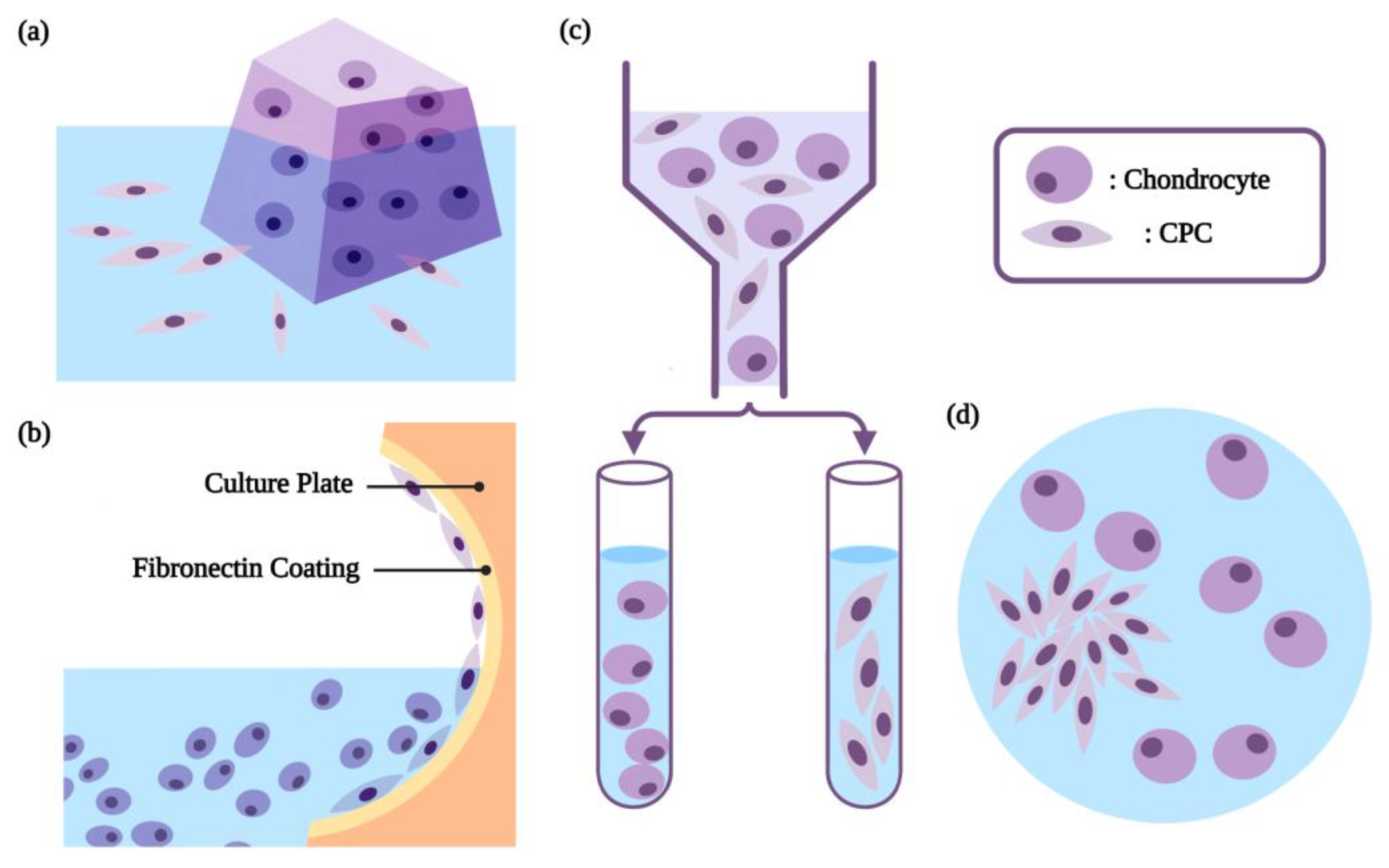 Biomolecules 13 01302 g004