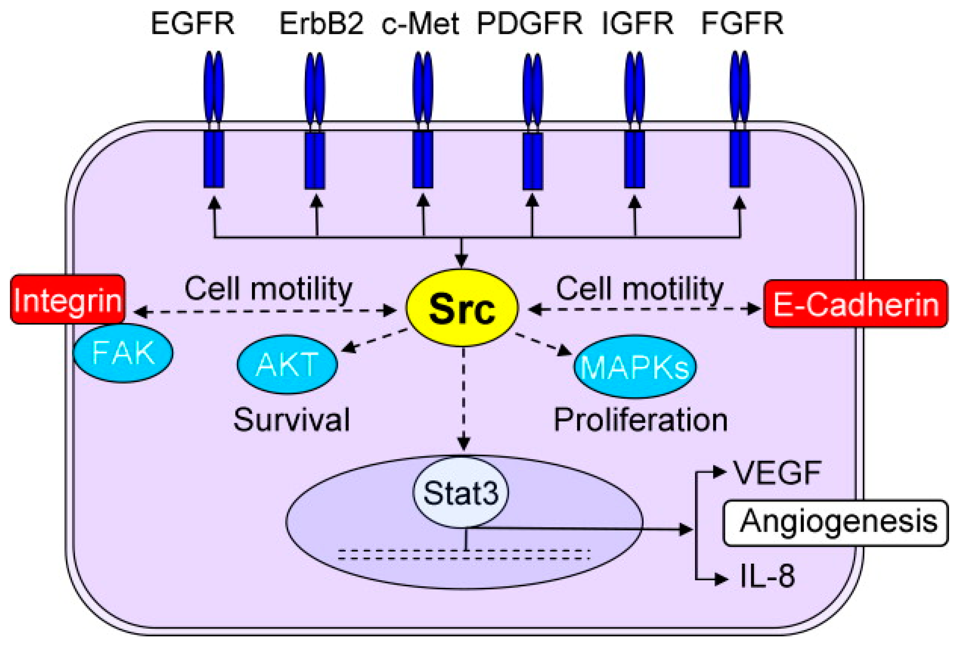 Biomolecules 13 01306 g004