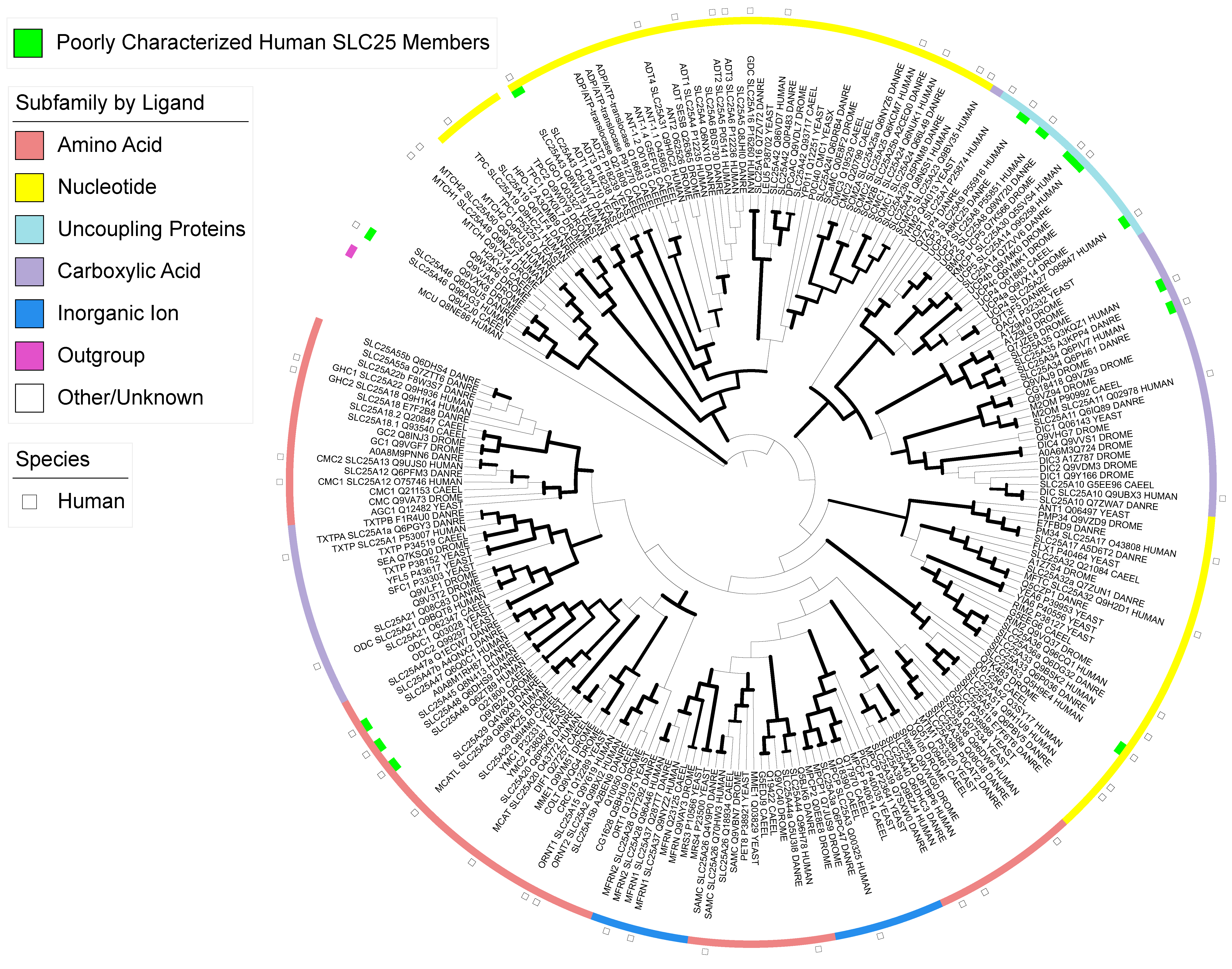 Biomolecules 13 01314 g001 Biomolecules 13 01314 g001
