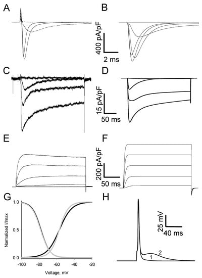 Biomolecules 13 01320 g001