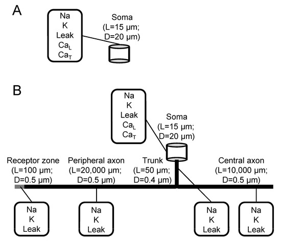 Biomolecules 13 01320 g002