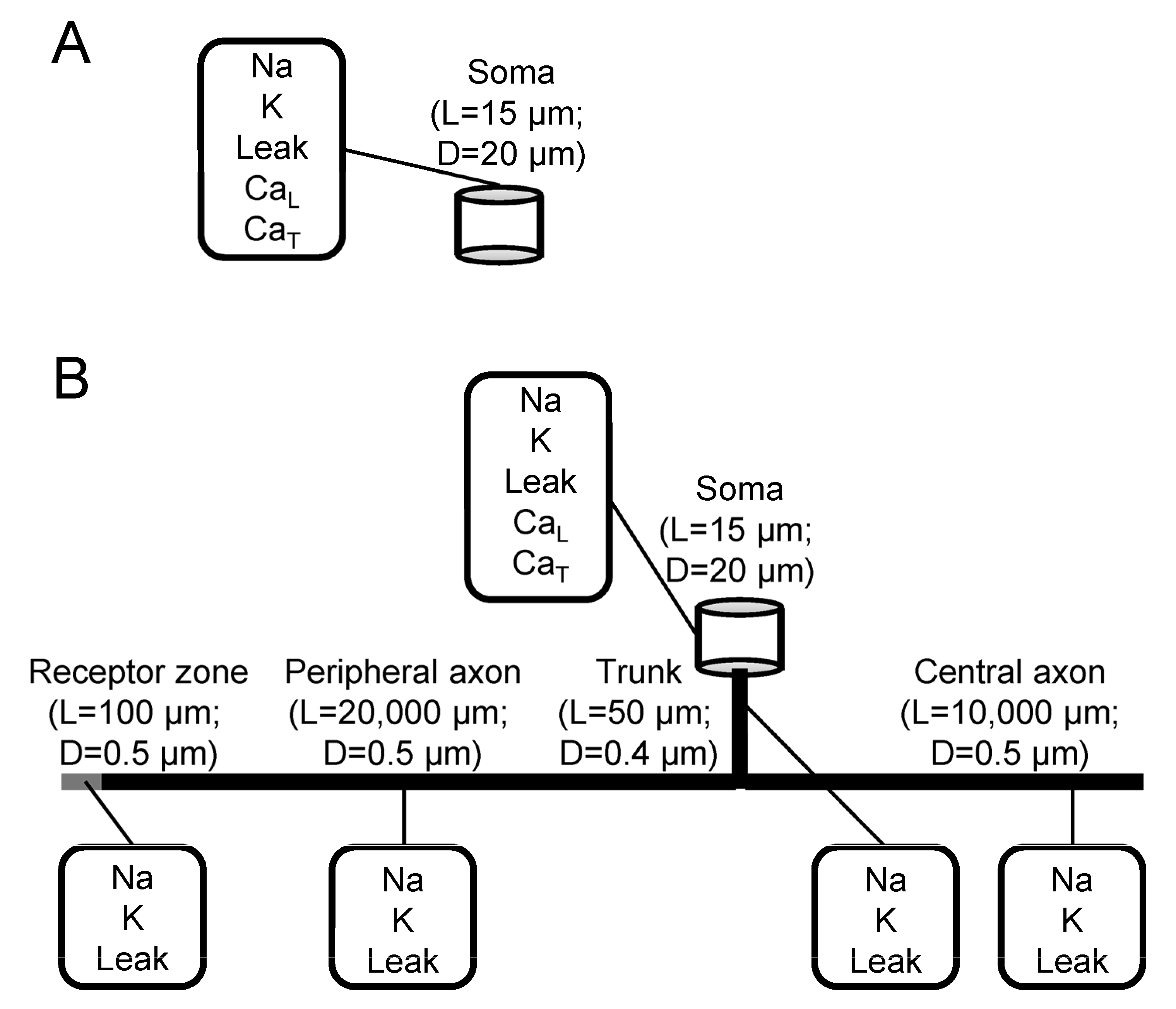 Biomolecules 13 01320 g002 Biomolecules 13 01320 g002