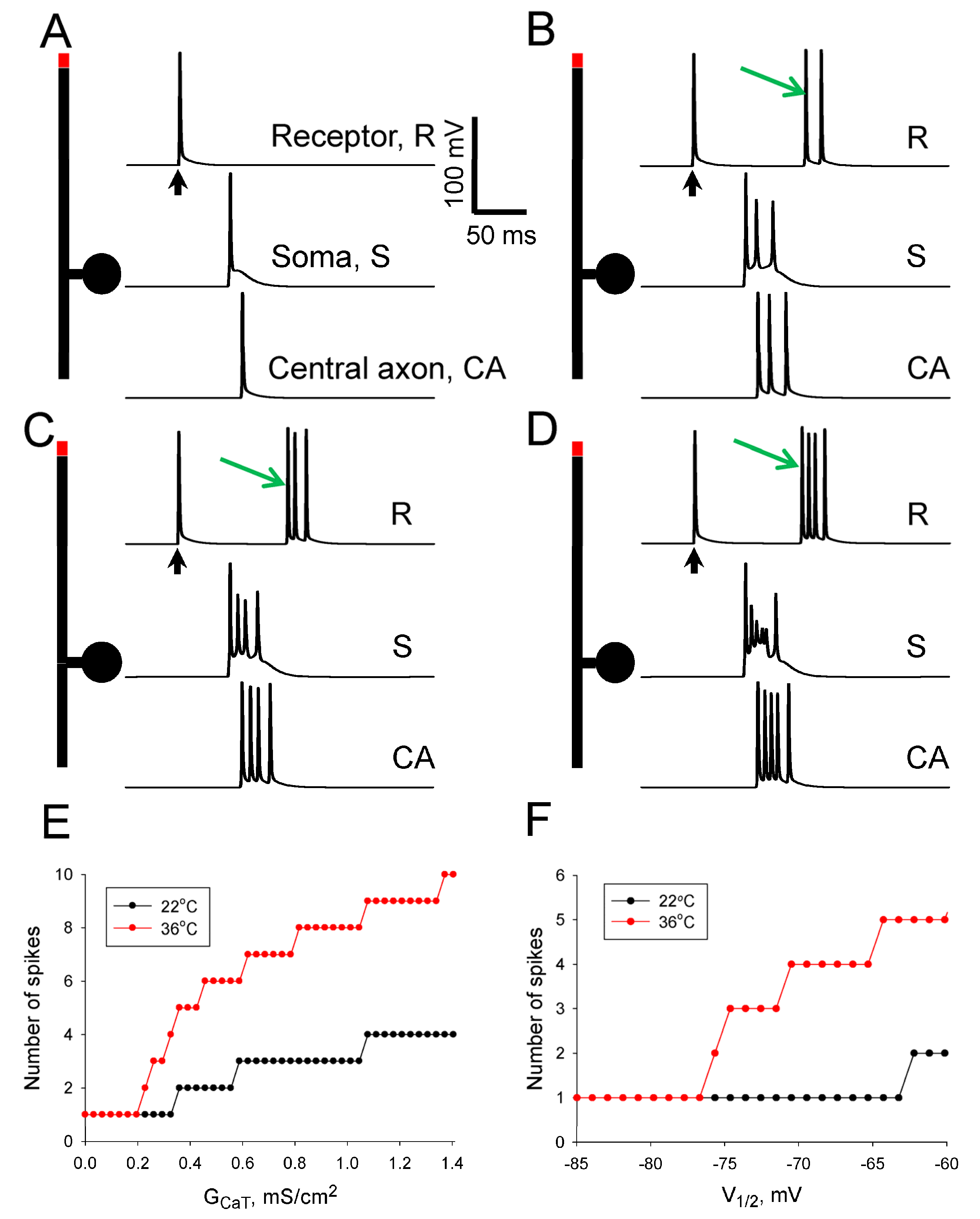 Biomolecules 13 01320 g006 Biomolecules 13 01320 g006