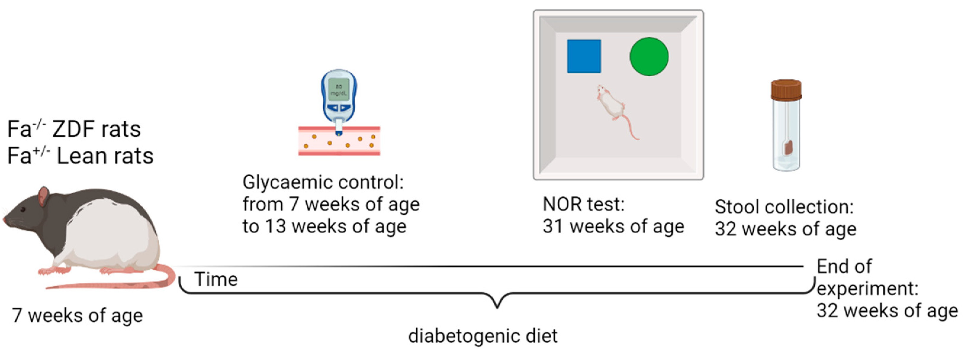 Biomolecules 13 01325 g001