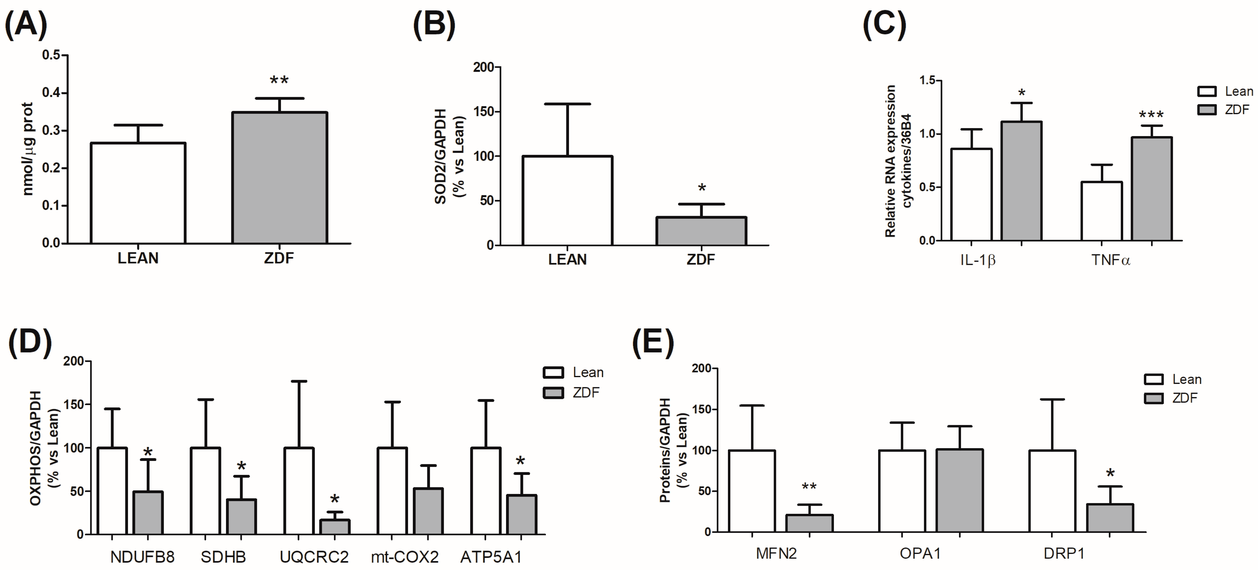Biomolecules 13 01325 g004
