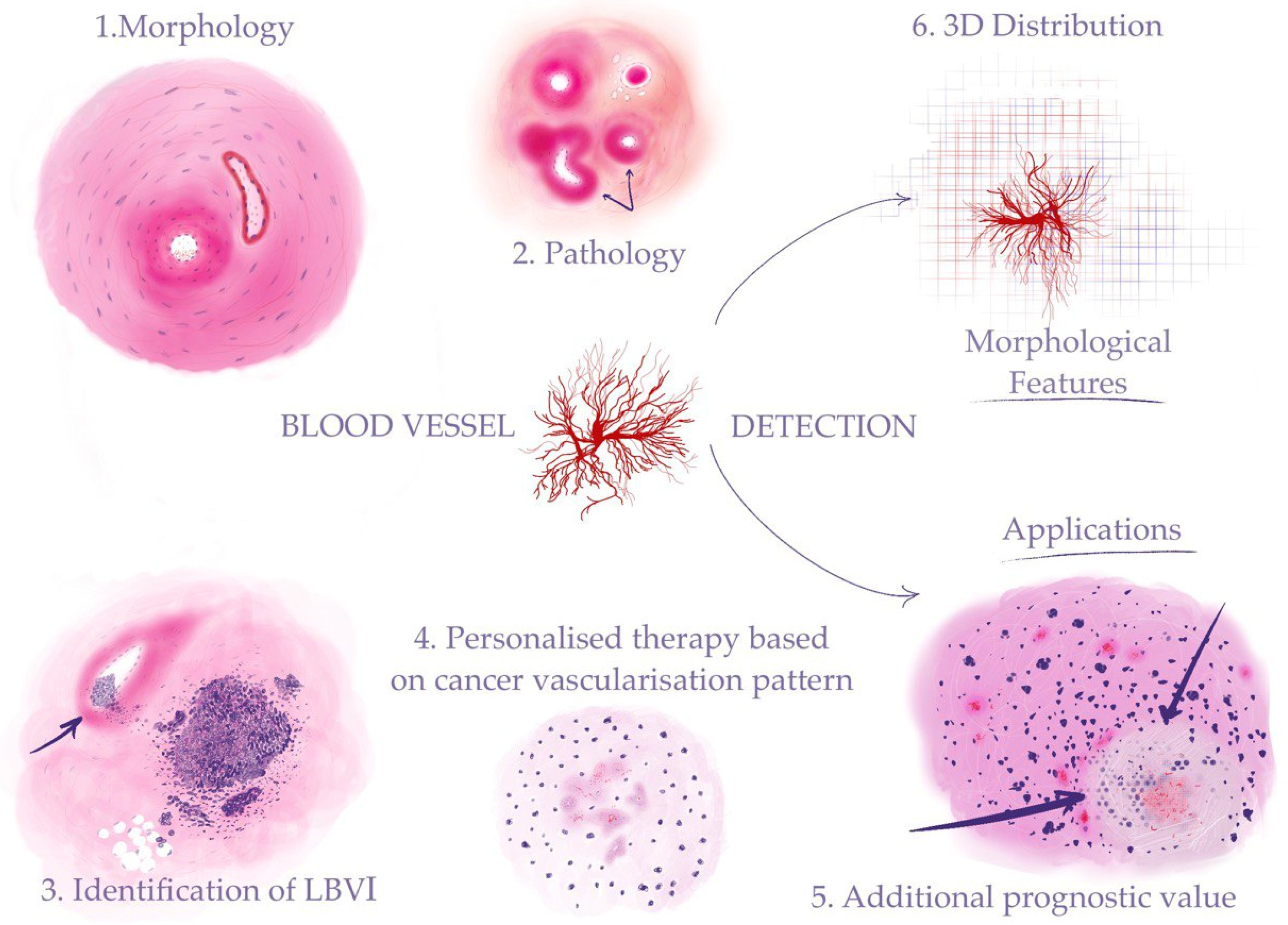 Biomolecules 13 01327 g001