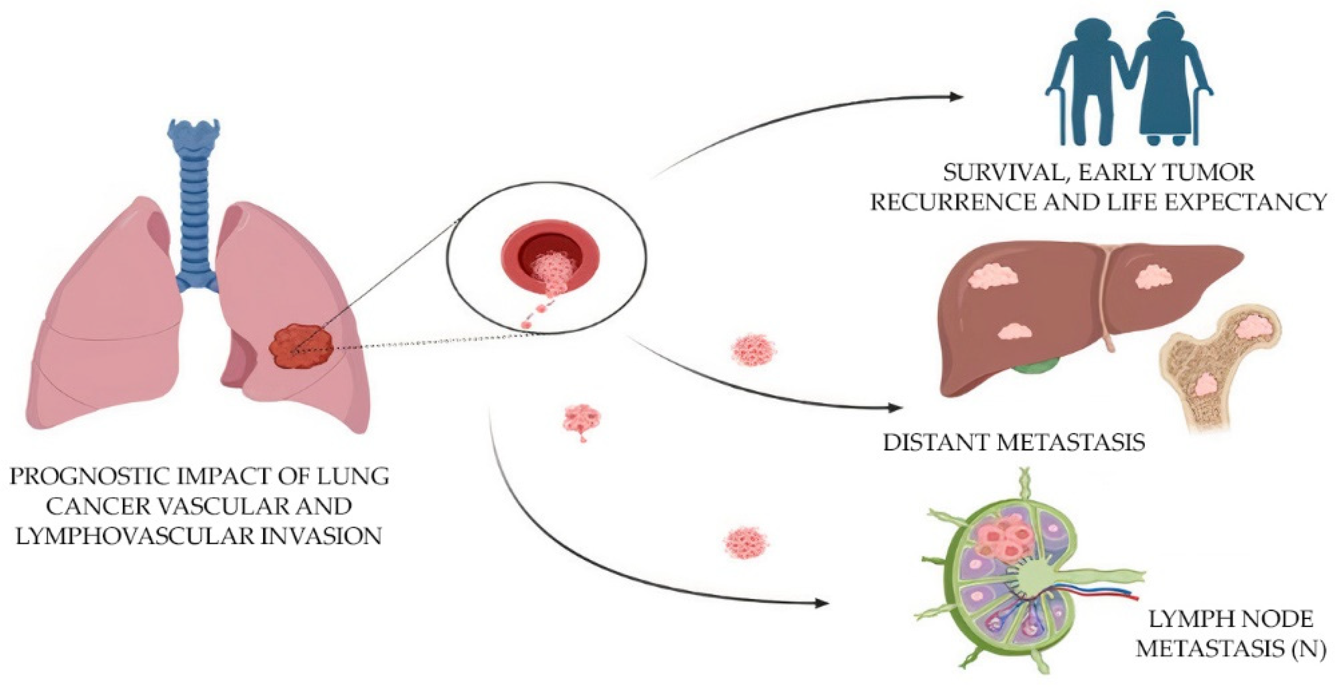 Biomolecules 13 01327 g002