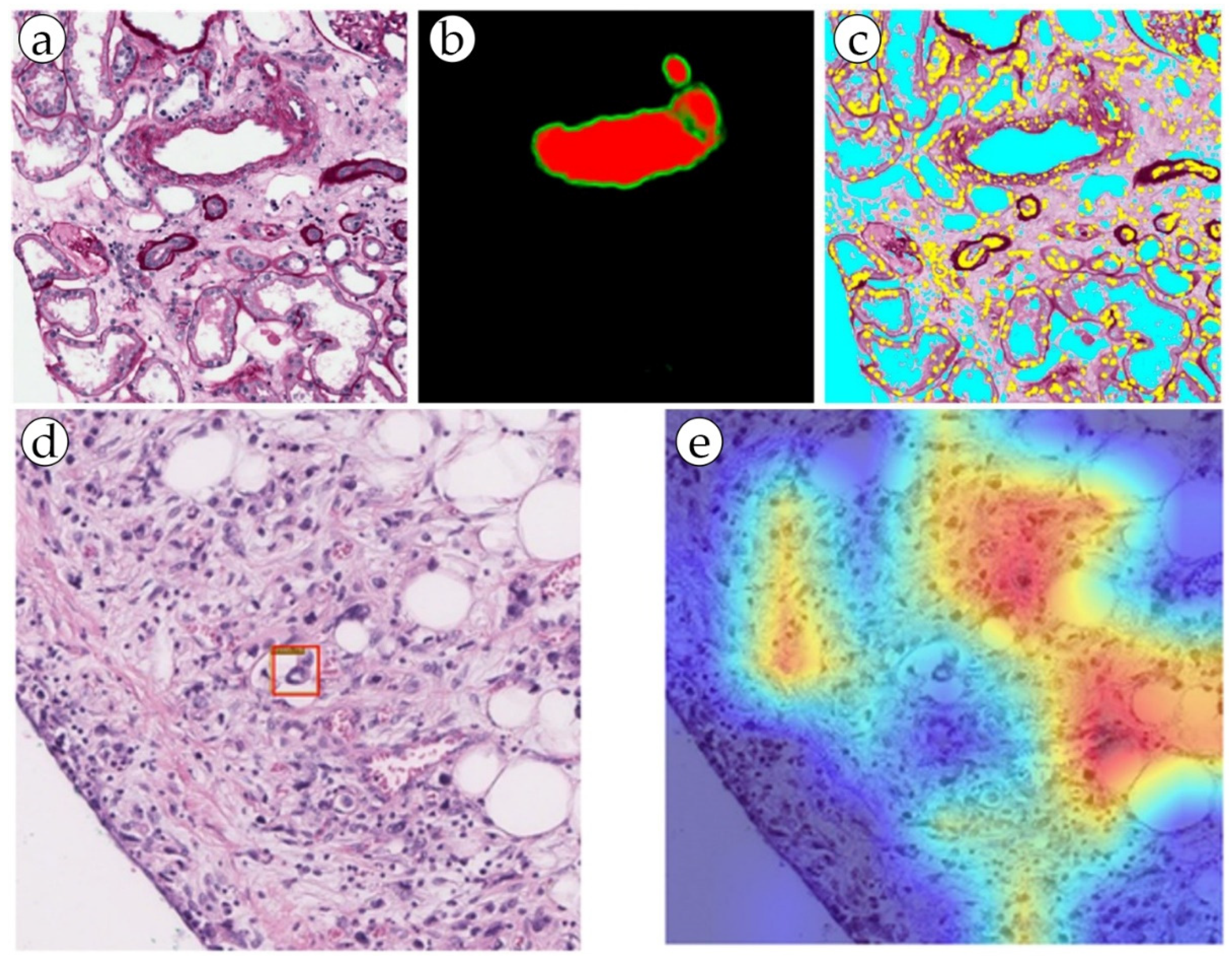 Biomolecules 13 01327 g003