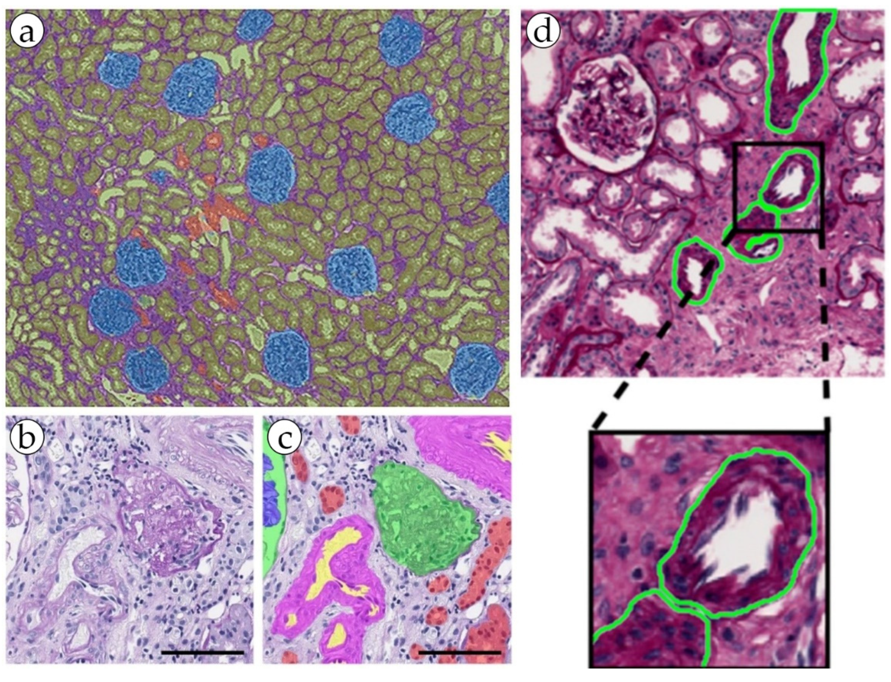Biomolecules 13 01327 g004