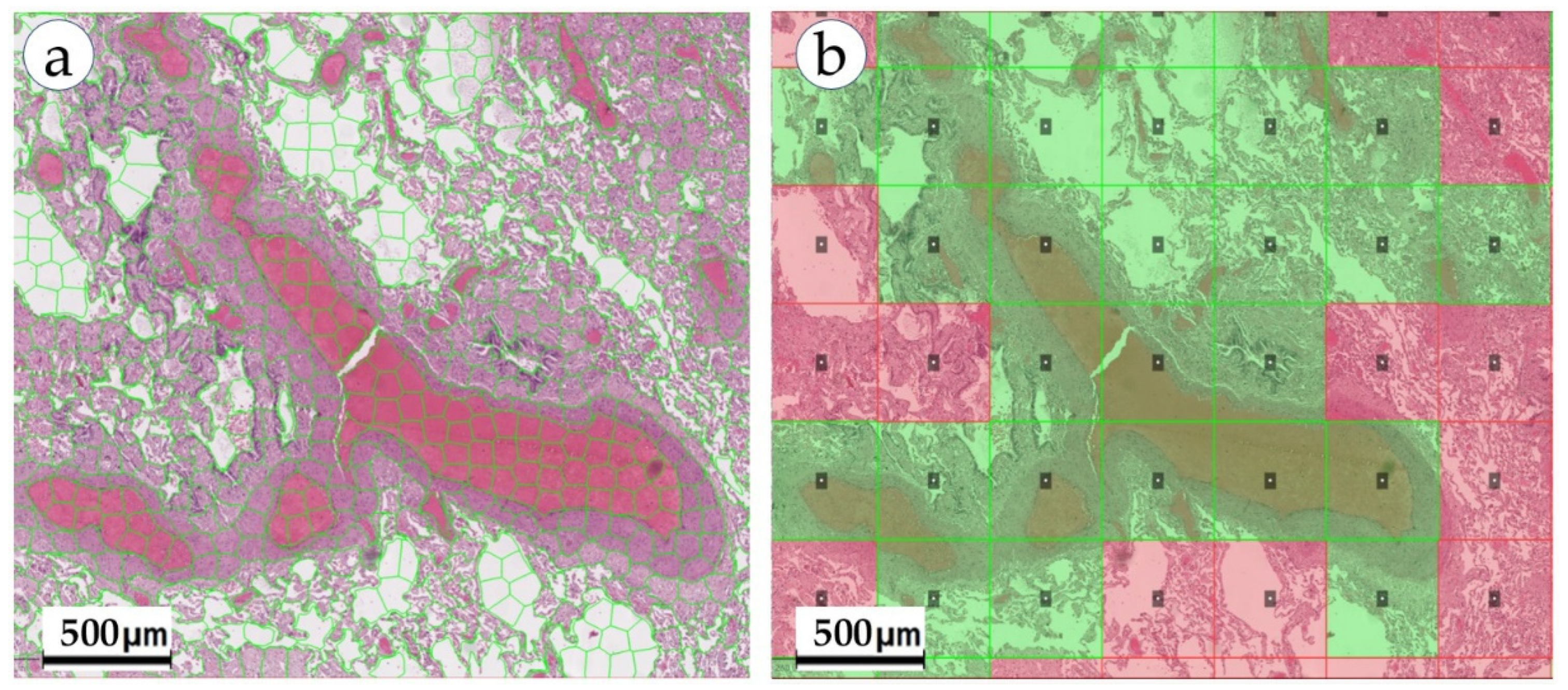 Biomolecules 13 01327 g006
