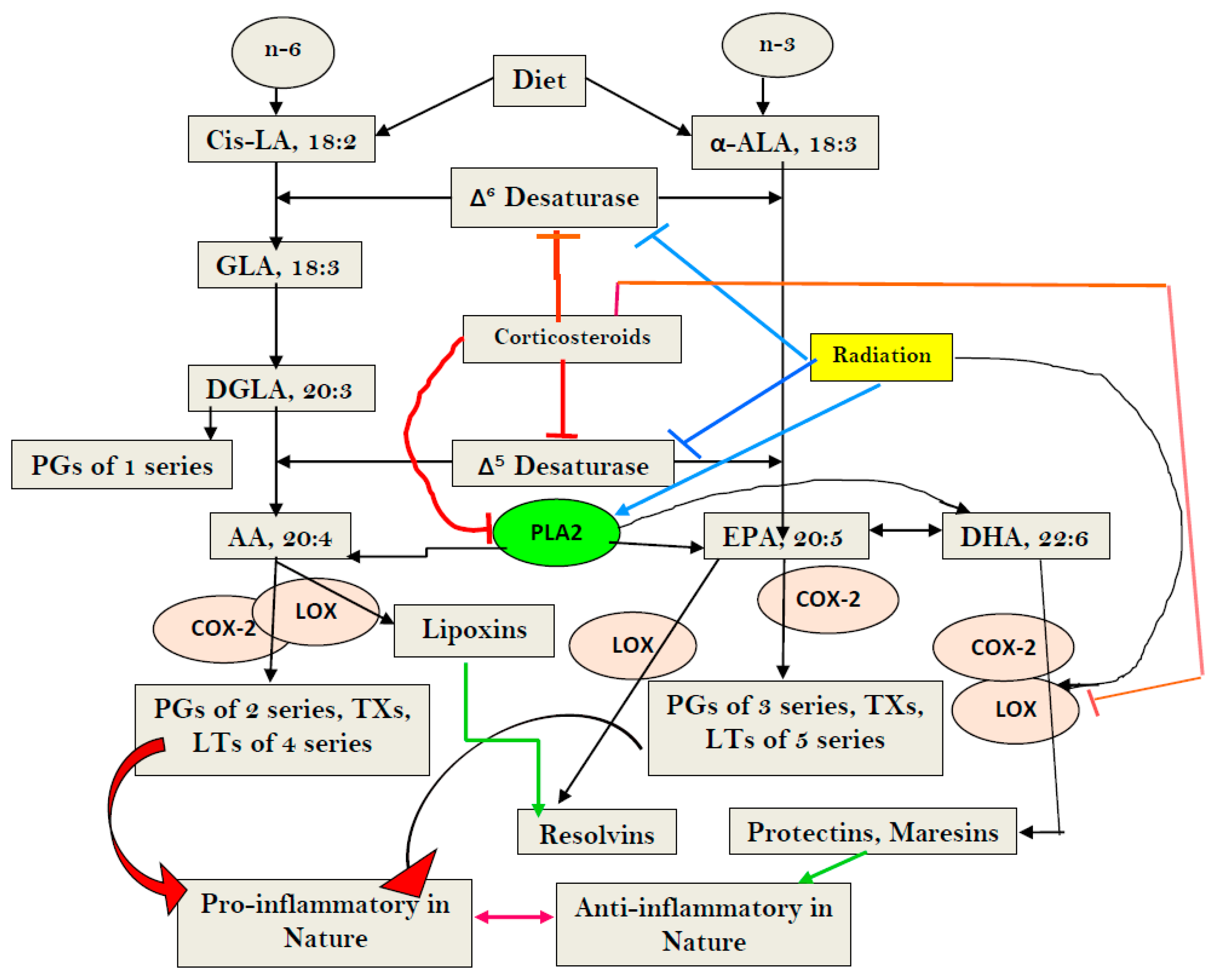 Biomolecules 13 01332 g001
