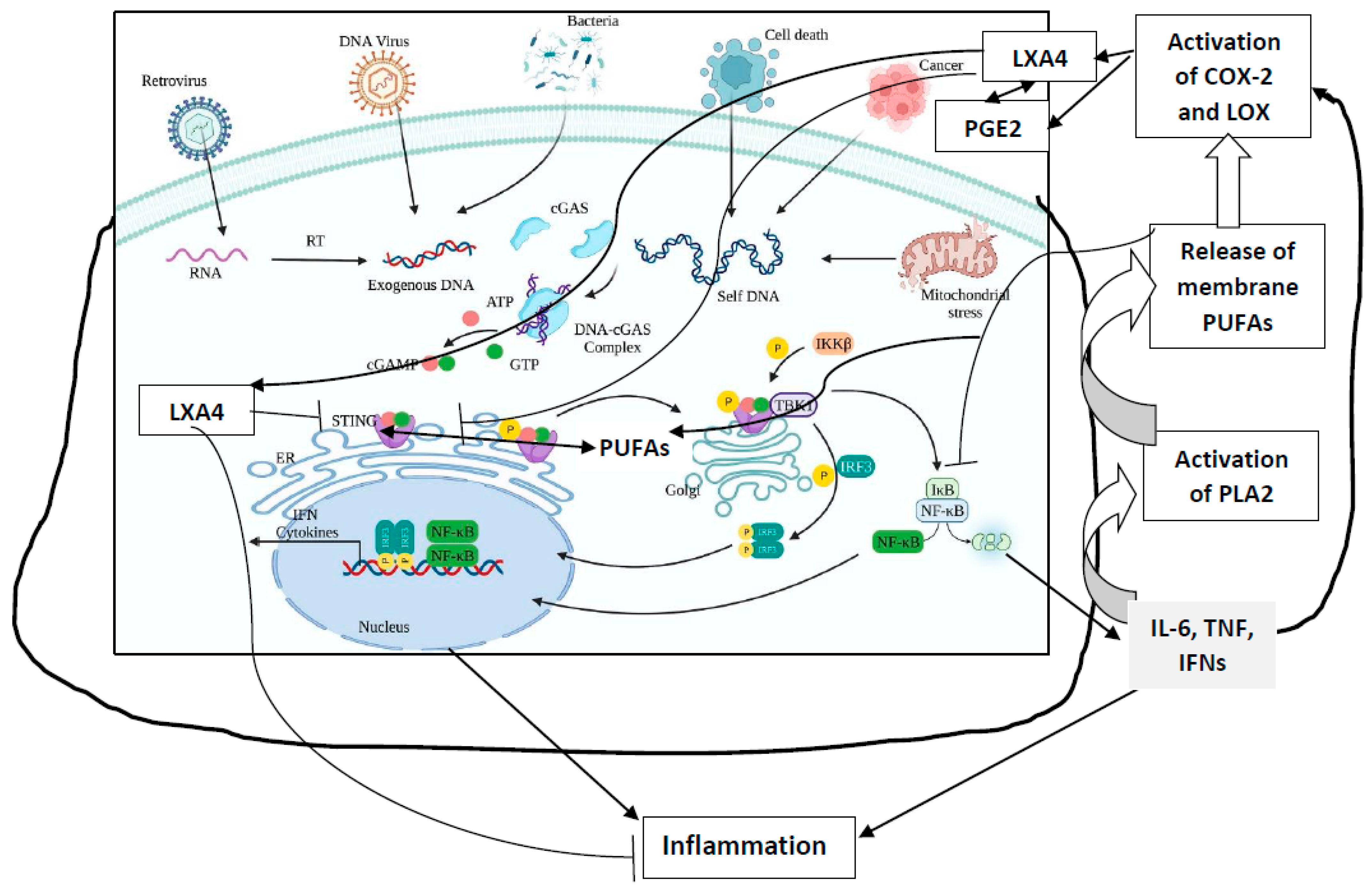 Biomolecules 13 01332 g003