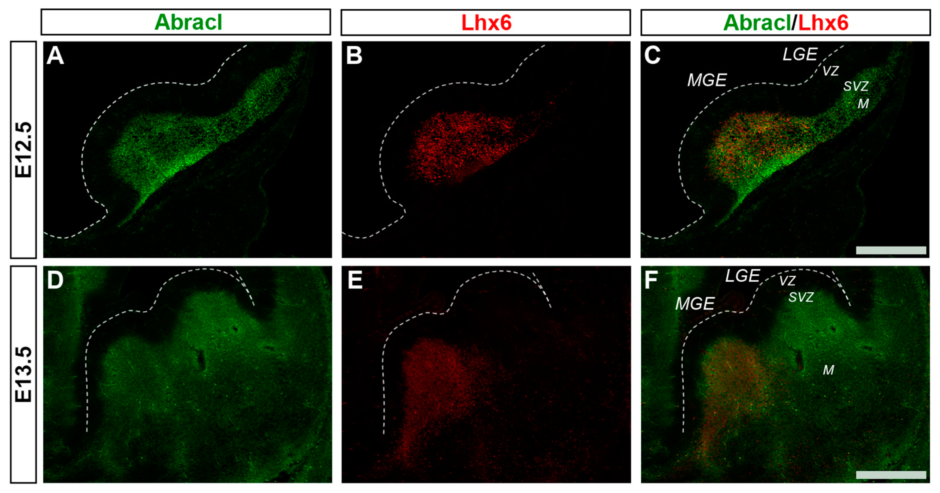Biomolecules 13 01337 g006 Biomolecules 13 01337 g006
