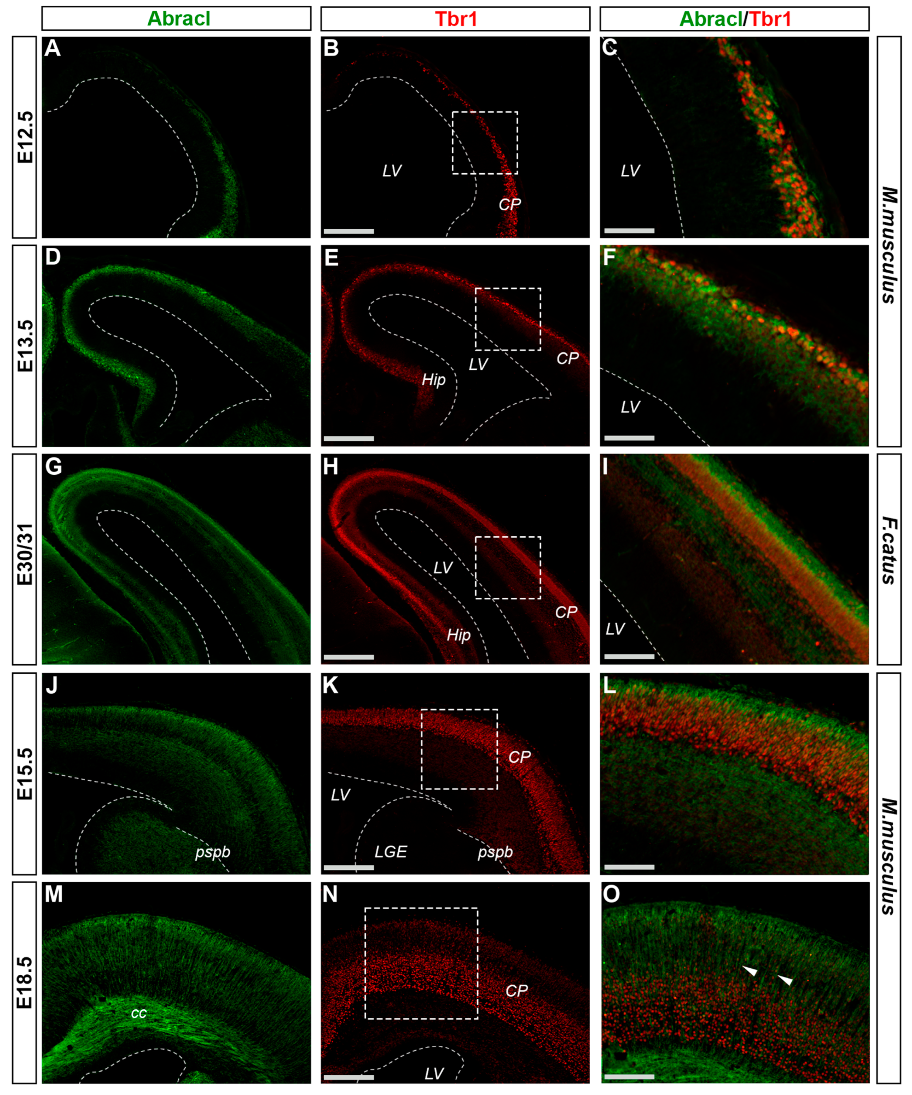 Biomolecules 13 01337 g009 Biomolecules 13 01337 g009
