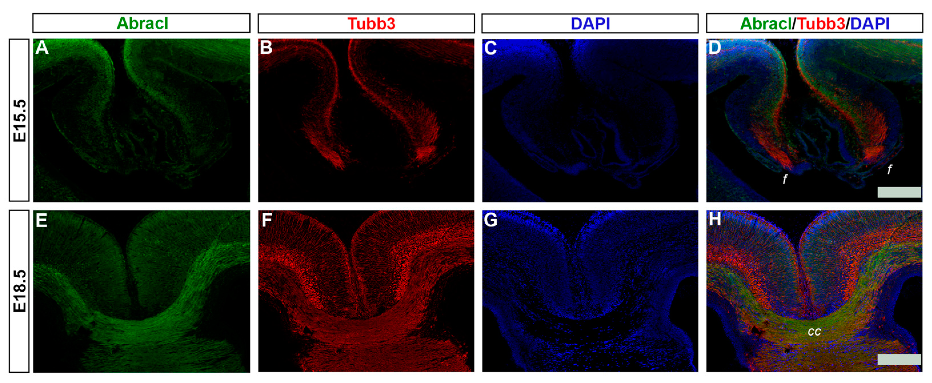 Biomolecules 13 01337 g013 Biomolecules 13 01337 g013