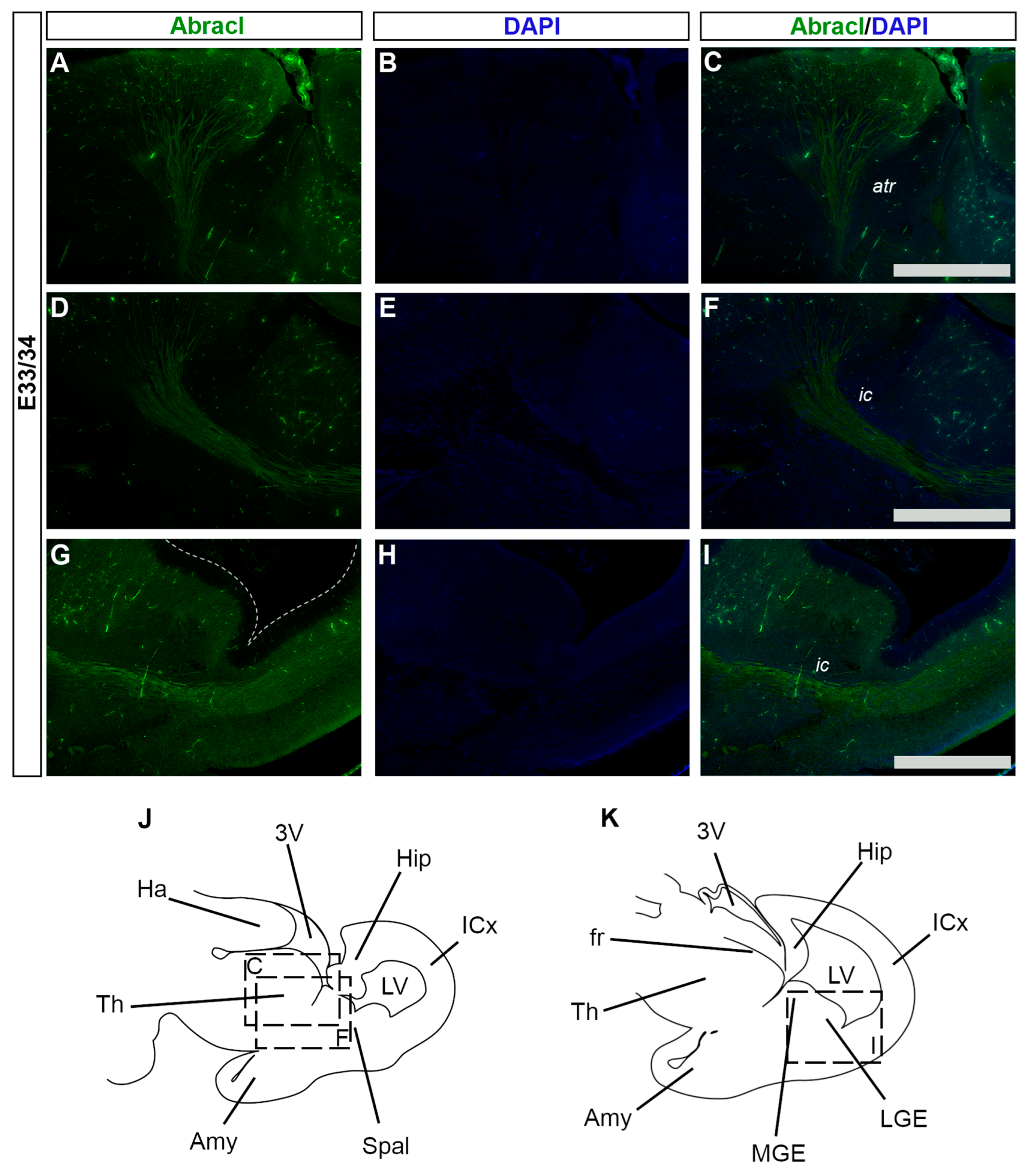 Biomolecules 13 01337 g014 Biomolecules 13 01337 g014