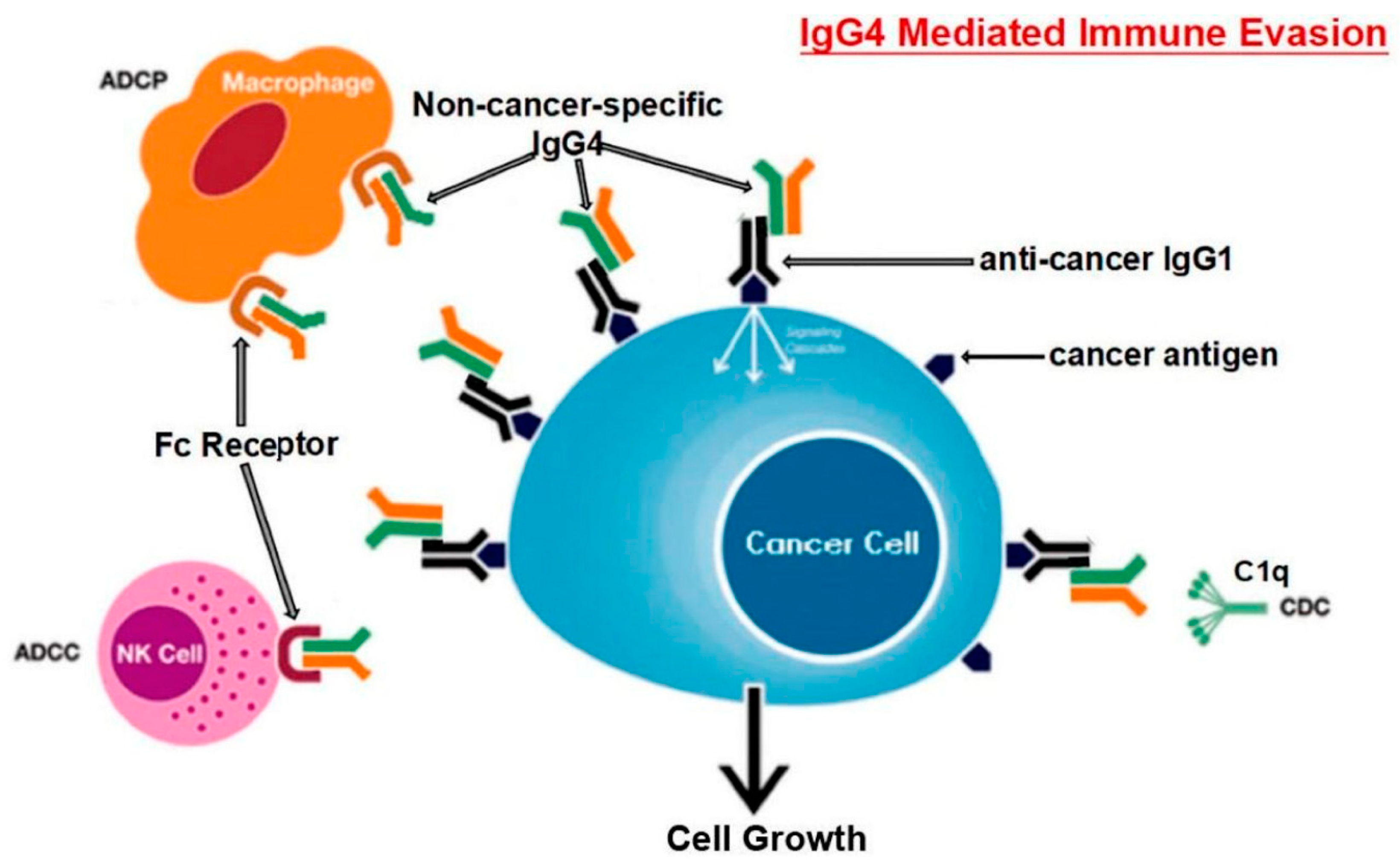 Biomolecules 13 01338 g003