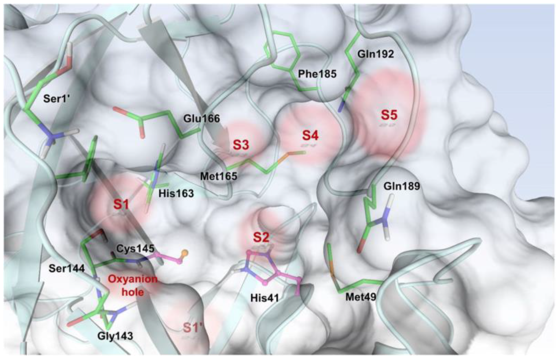 Biomolecules 13 01339 g002