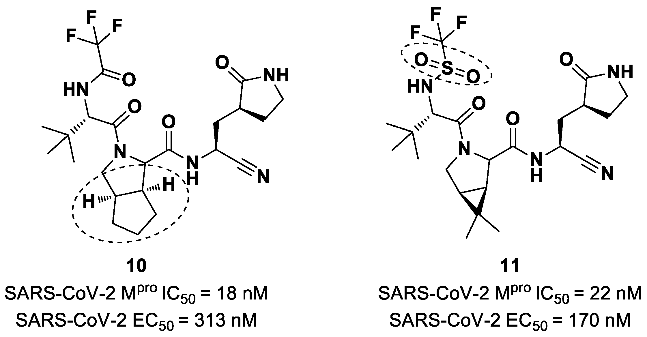 Biomolecules 13 01339 g008