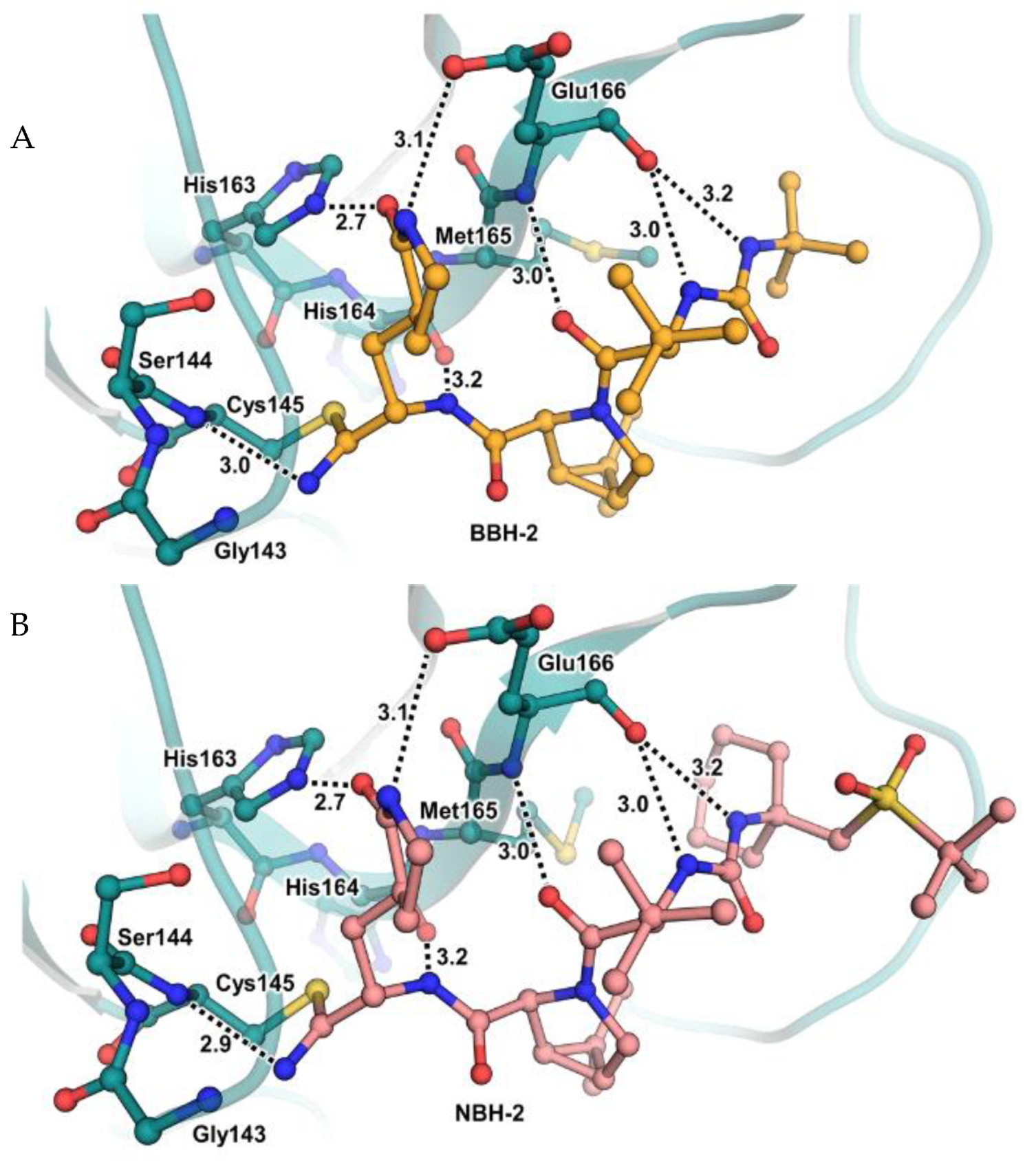 Biomolecules 13 01339 g010