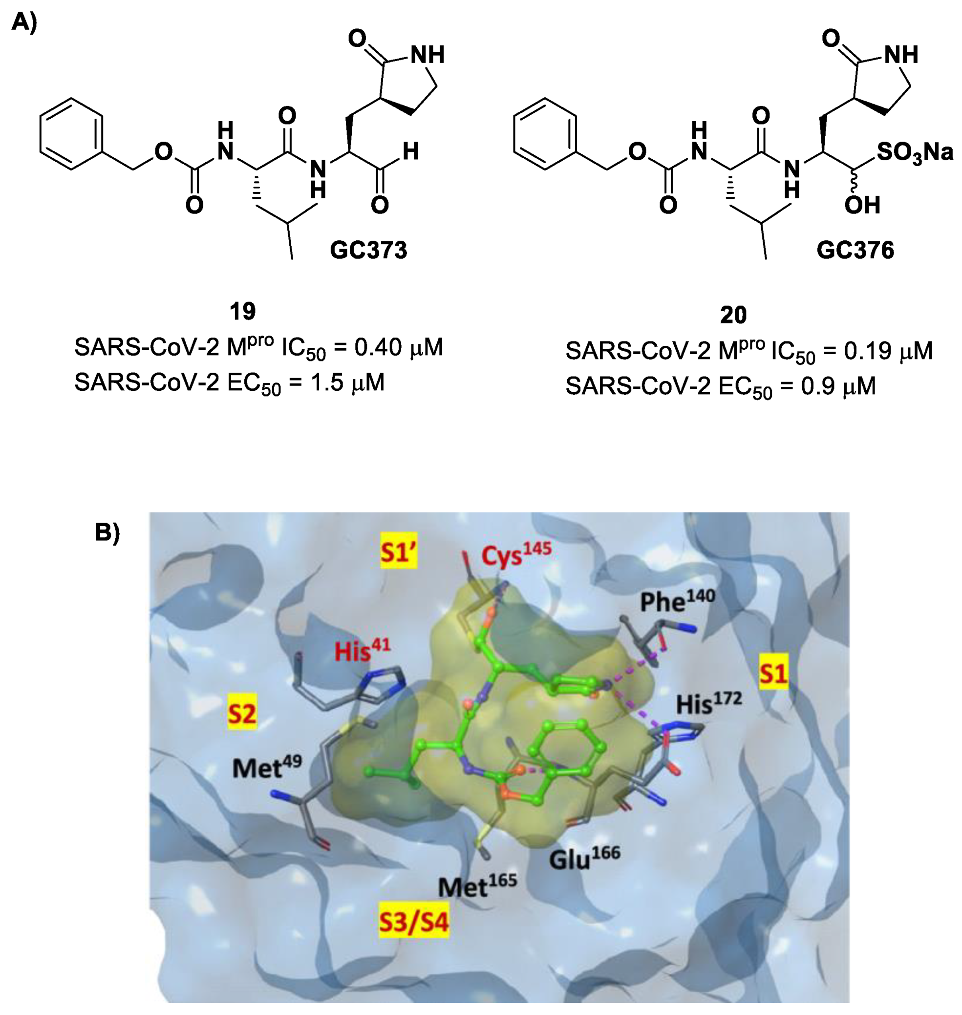 Biomolecules 13 01339 g013