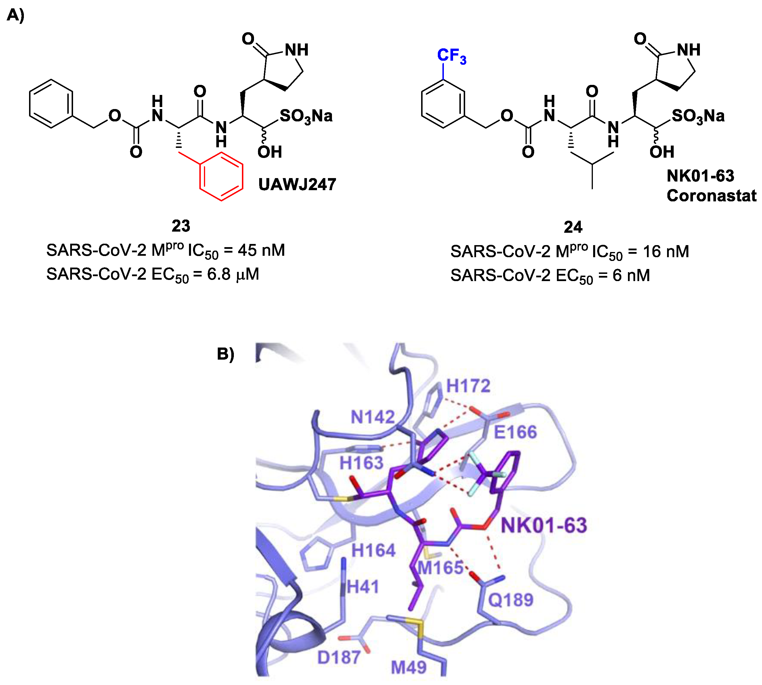 Biomolecules 13 01339 g015