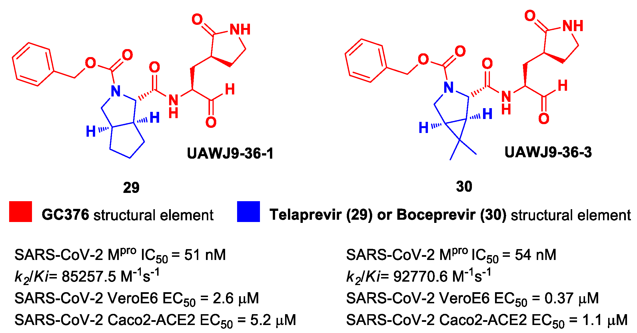 Biomolecules 13 01339 g019