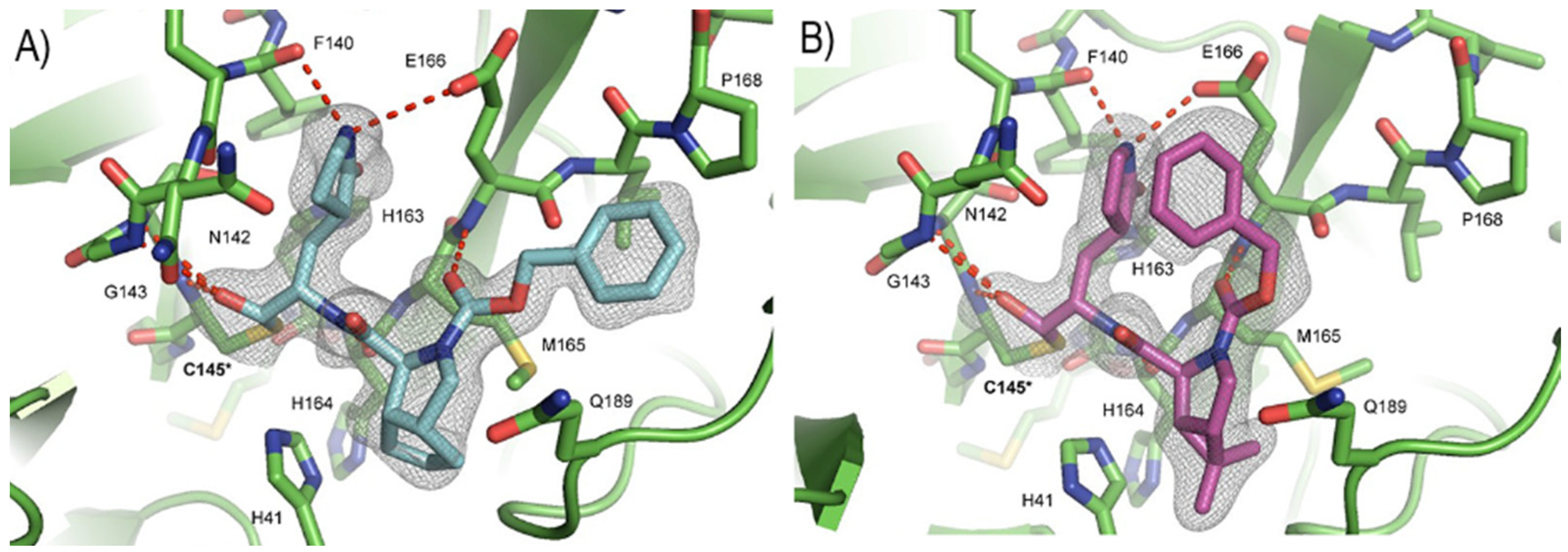 Biomolecules 13 01339 g020