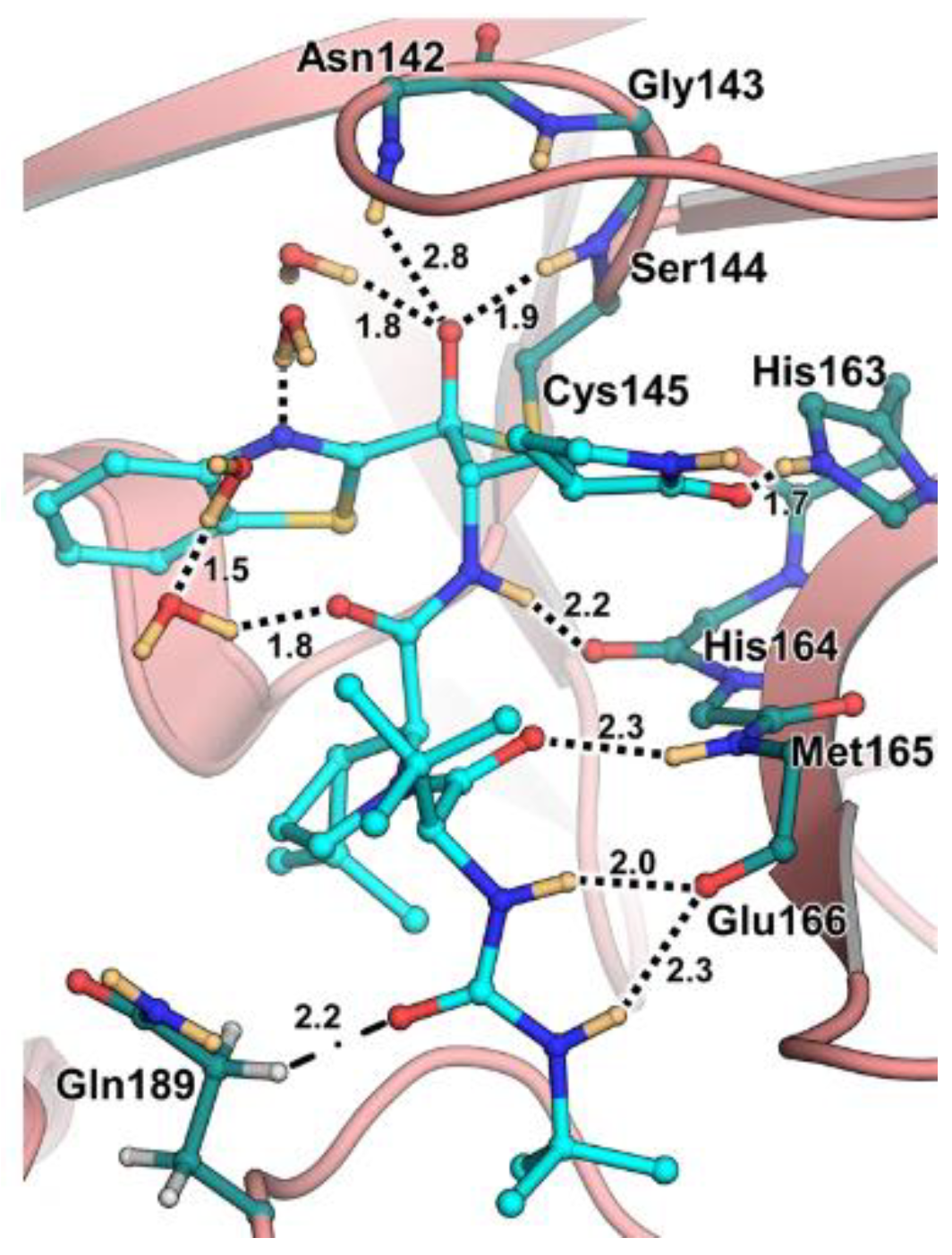 Biomolecules 13 01339 g031
