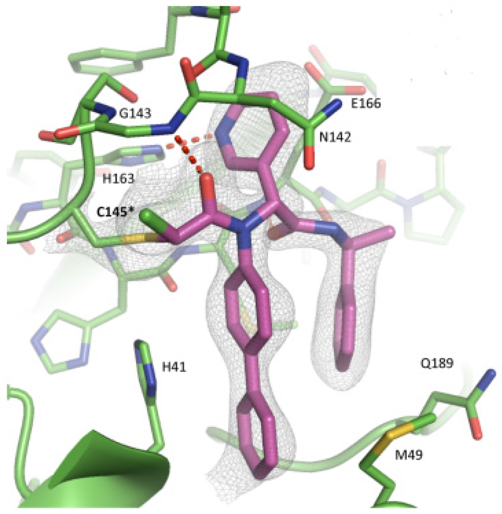 Biomolecules 13 01339 g037