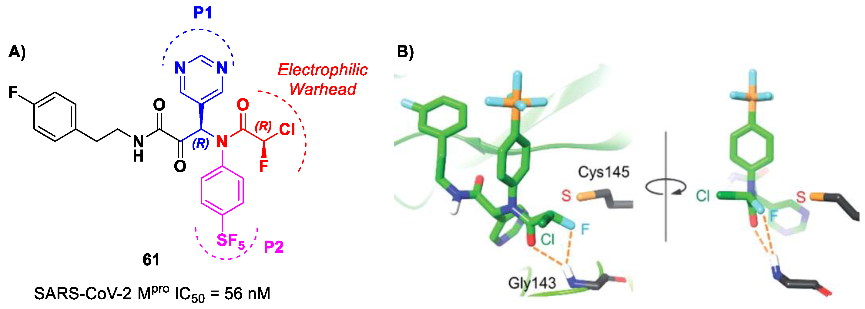 Biomolecules 13 01339 g038