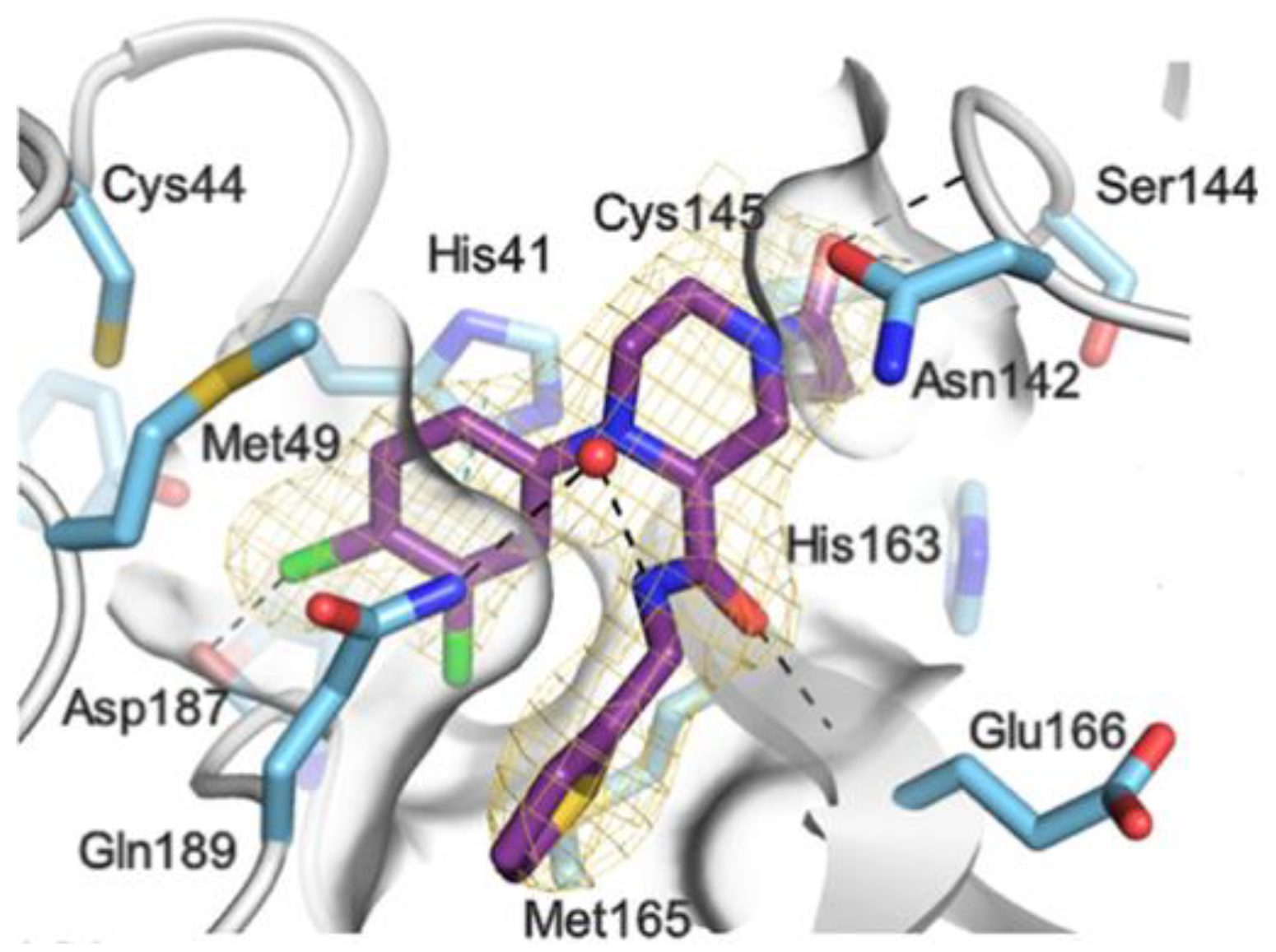 Biomolecules 13 01339 g041