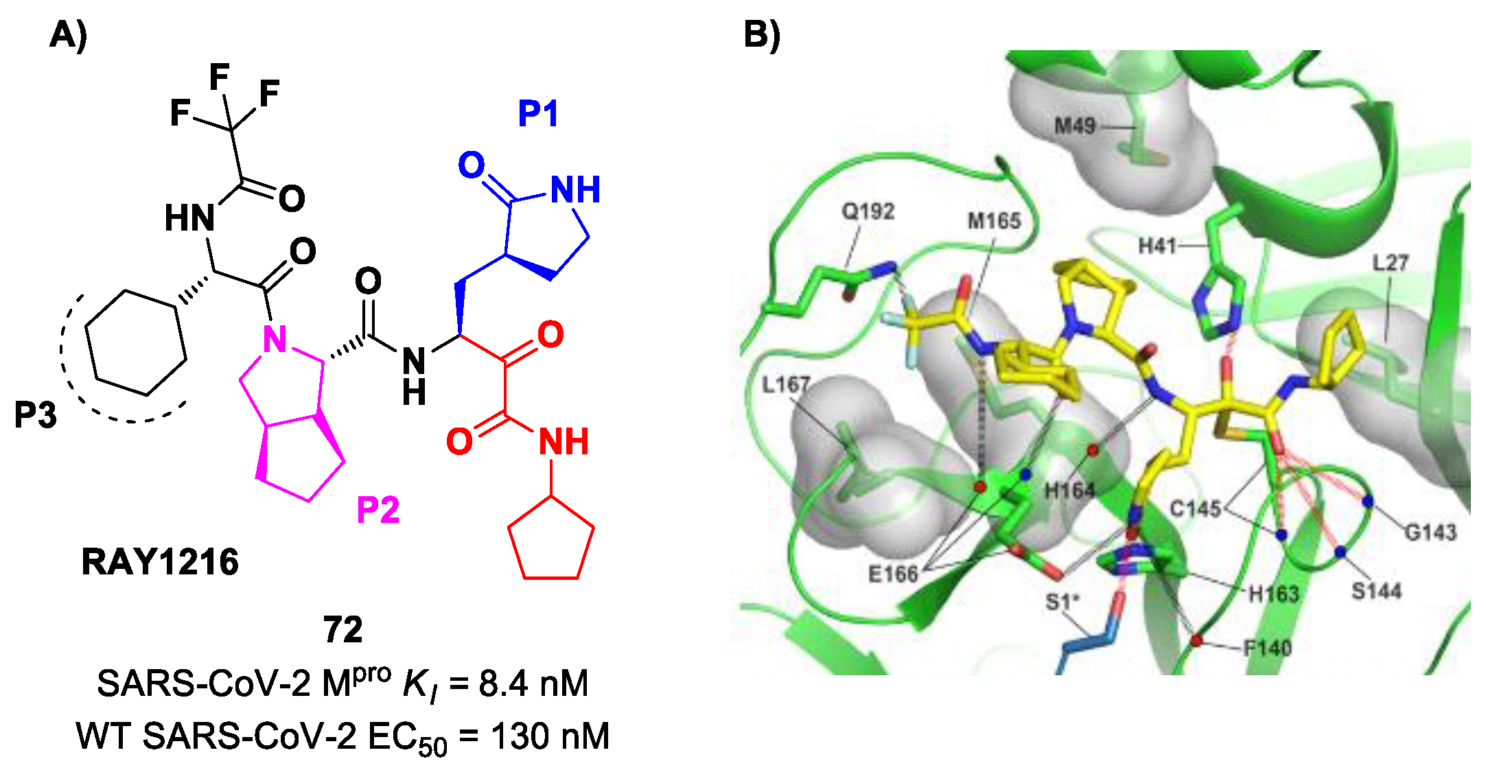Biomolecules 13 01339 g045