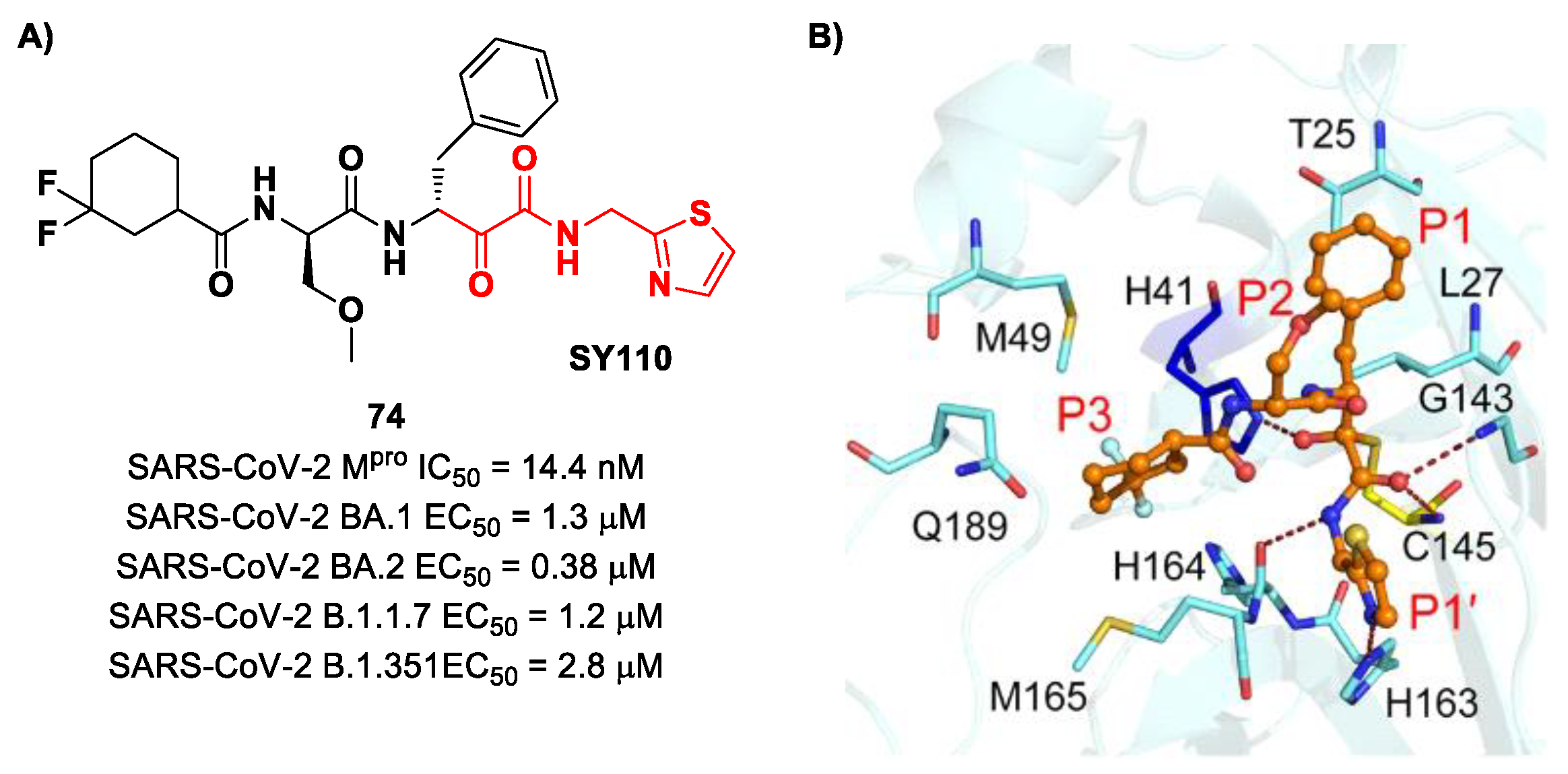 Biomolecules 13 01339 g047