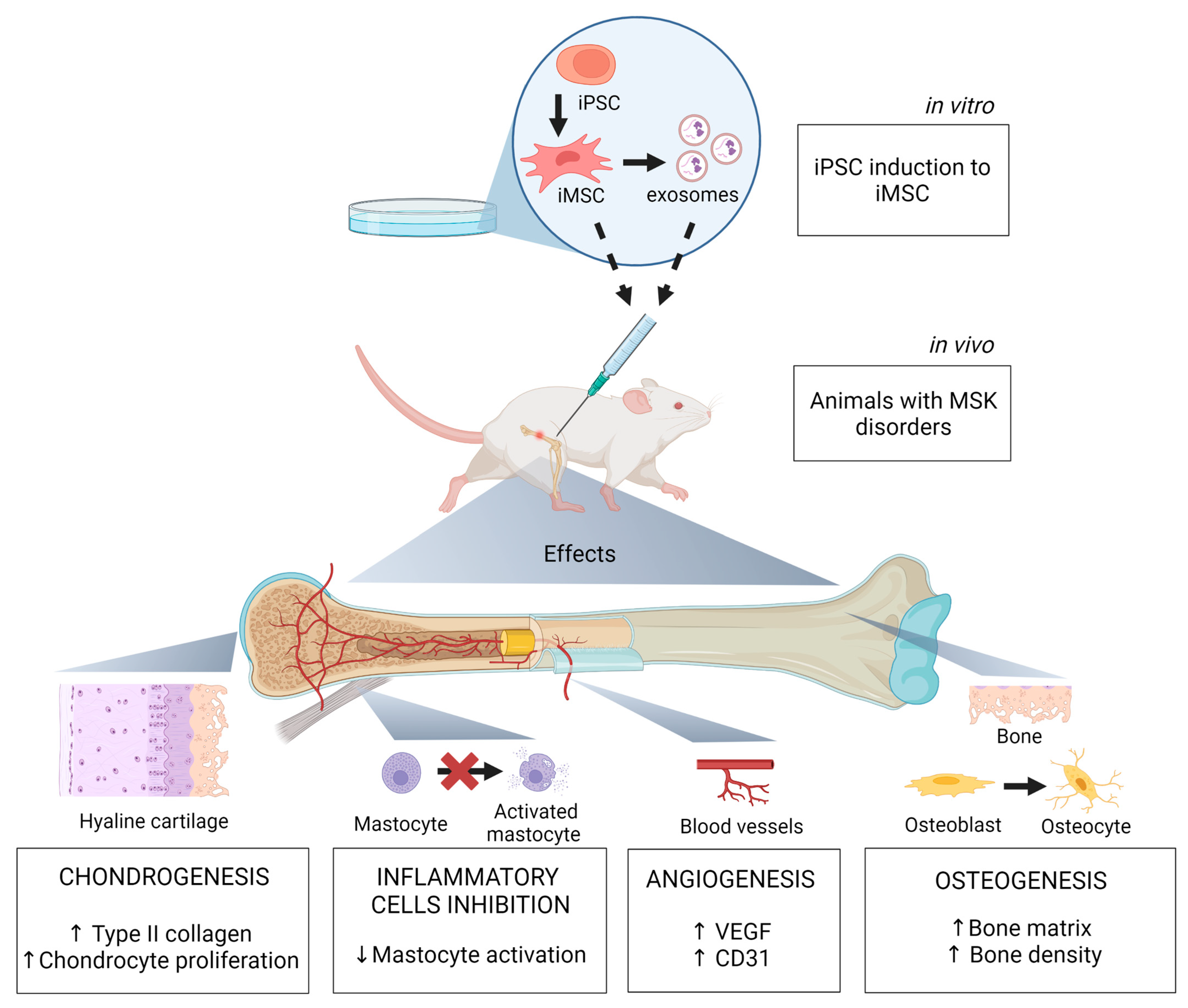 Biomolecules 13 01342 g001 Biomolecules 13 01342 g001