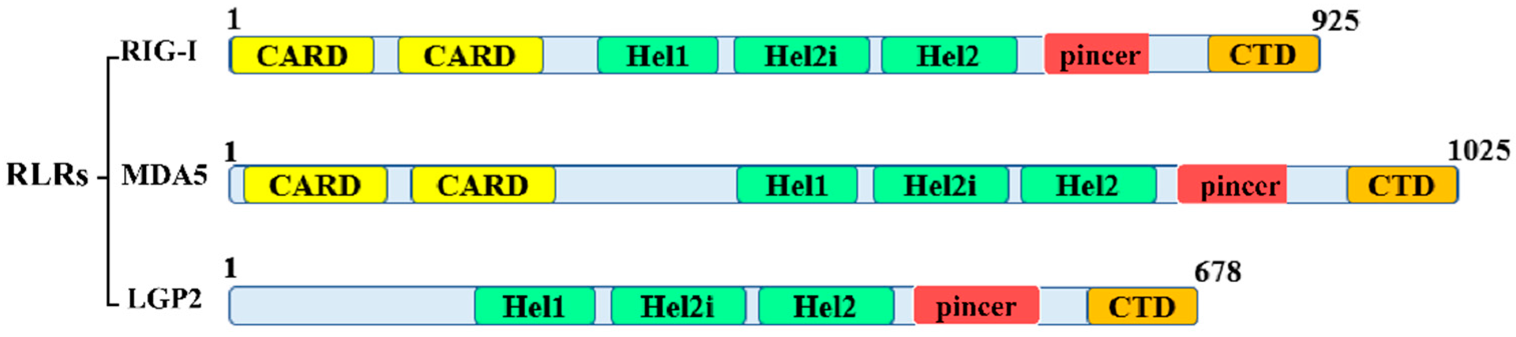 Biomolecules 13 01344 g001