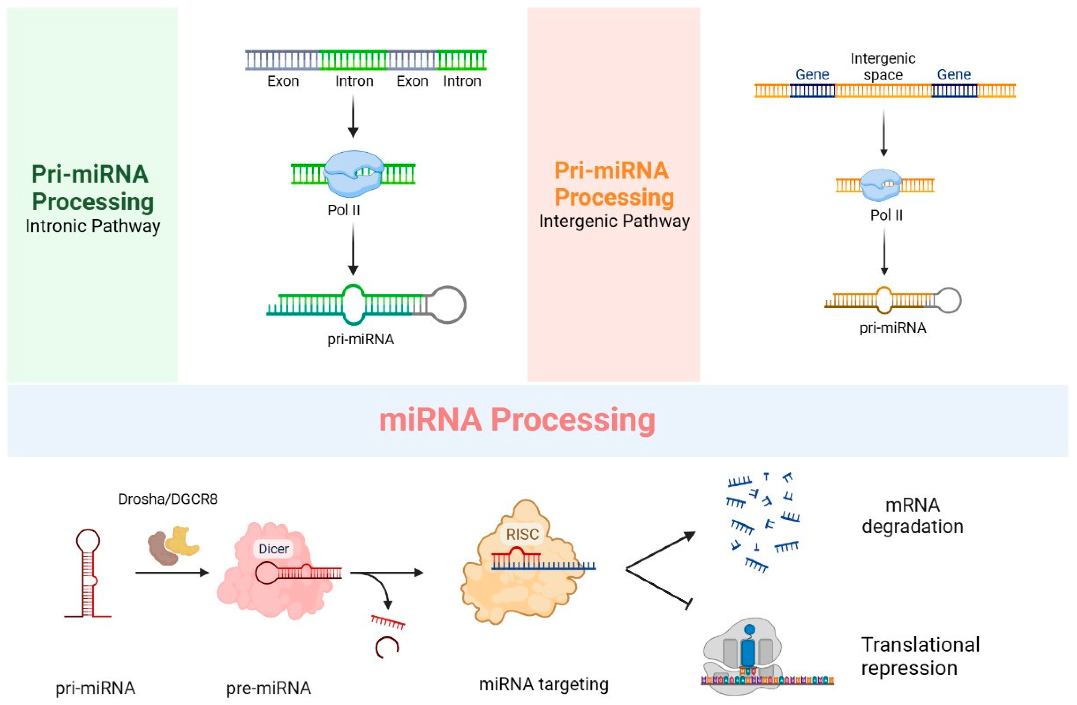 Biomolecules 13 01344 g002
