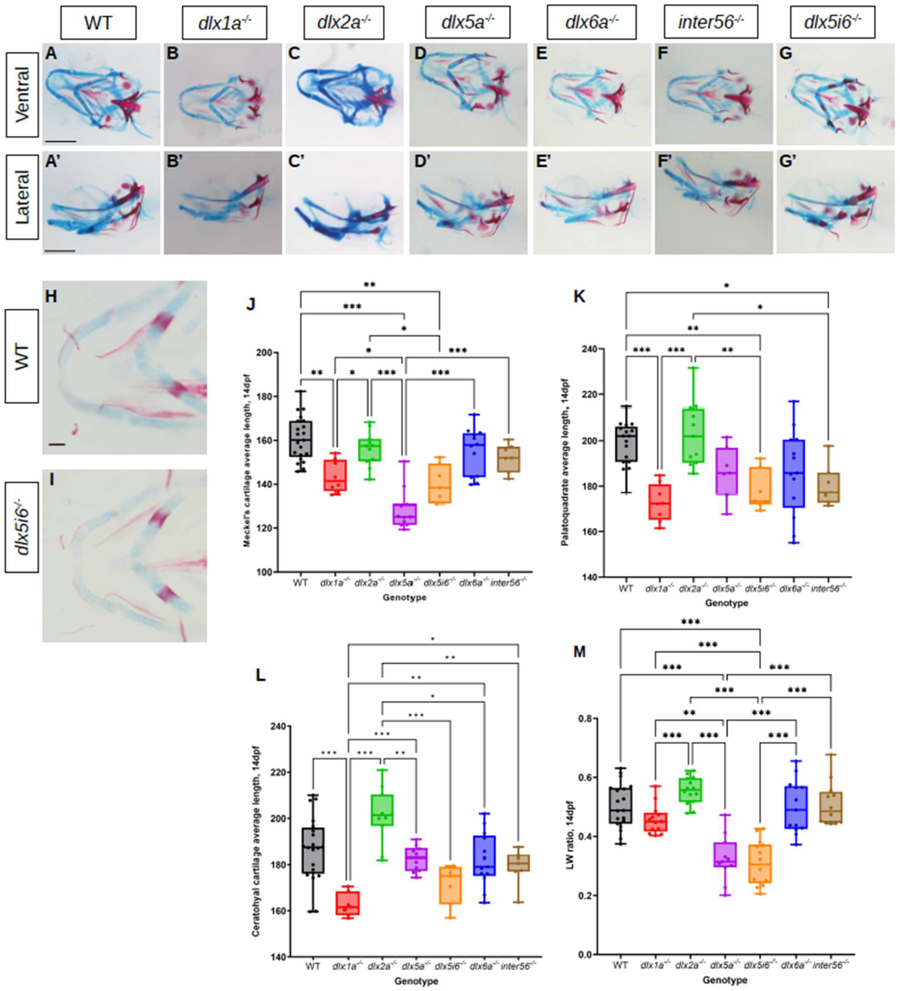 Biomolecules 13 01347 g002 Biomolecules 13 01347 g002