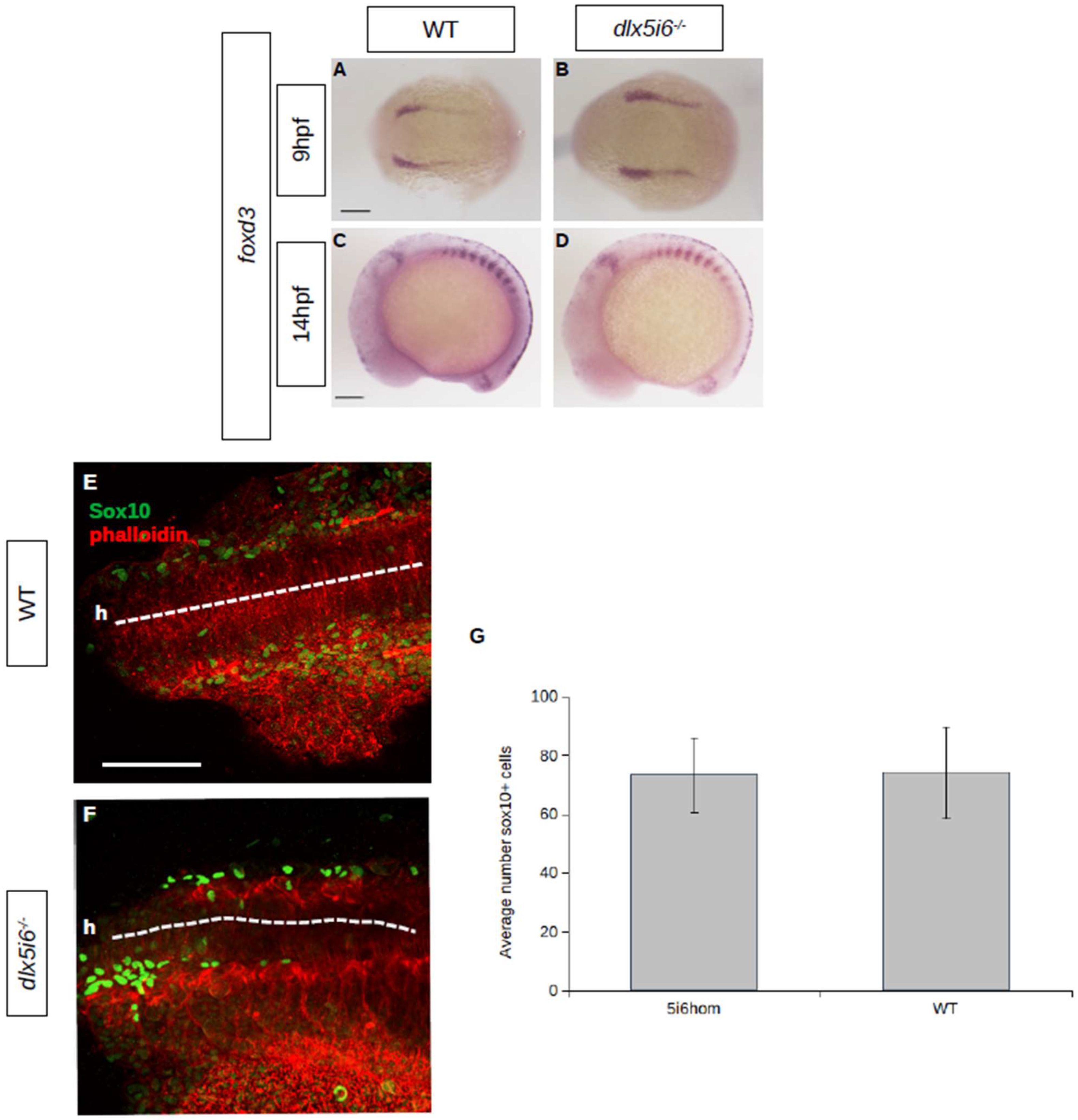 Biomolecules 13 01347 g003 Biomolecules 13 01347 g003