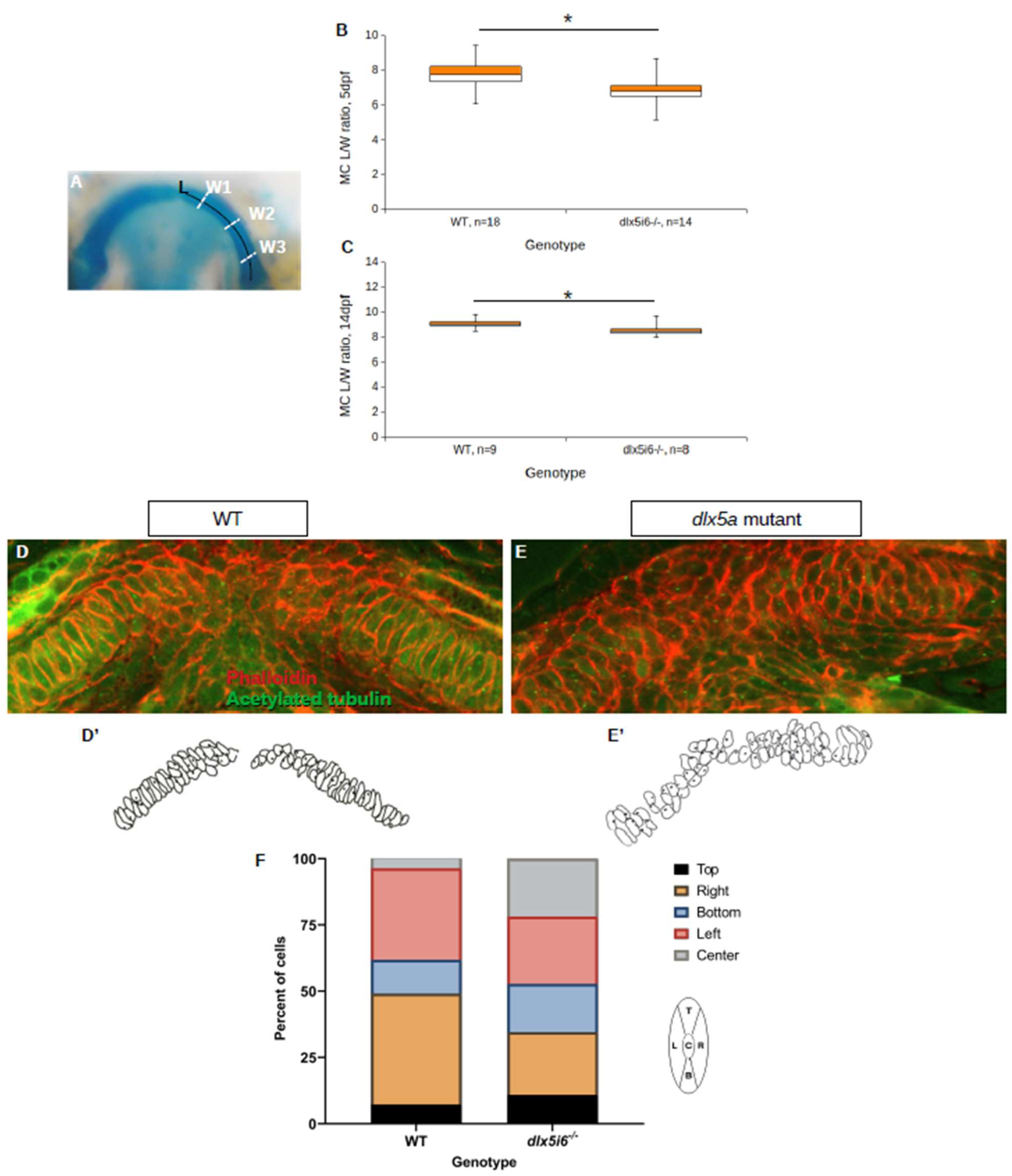 Biomolecules 13 01347 g007 Biomolecules 13 01347 g007