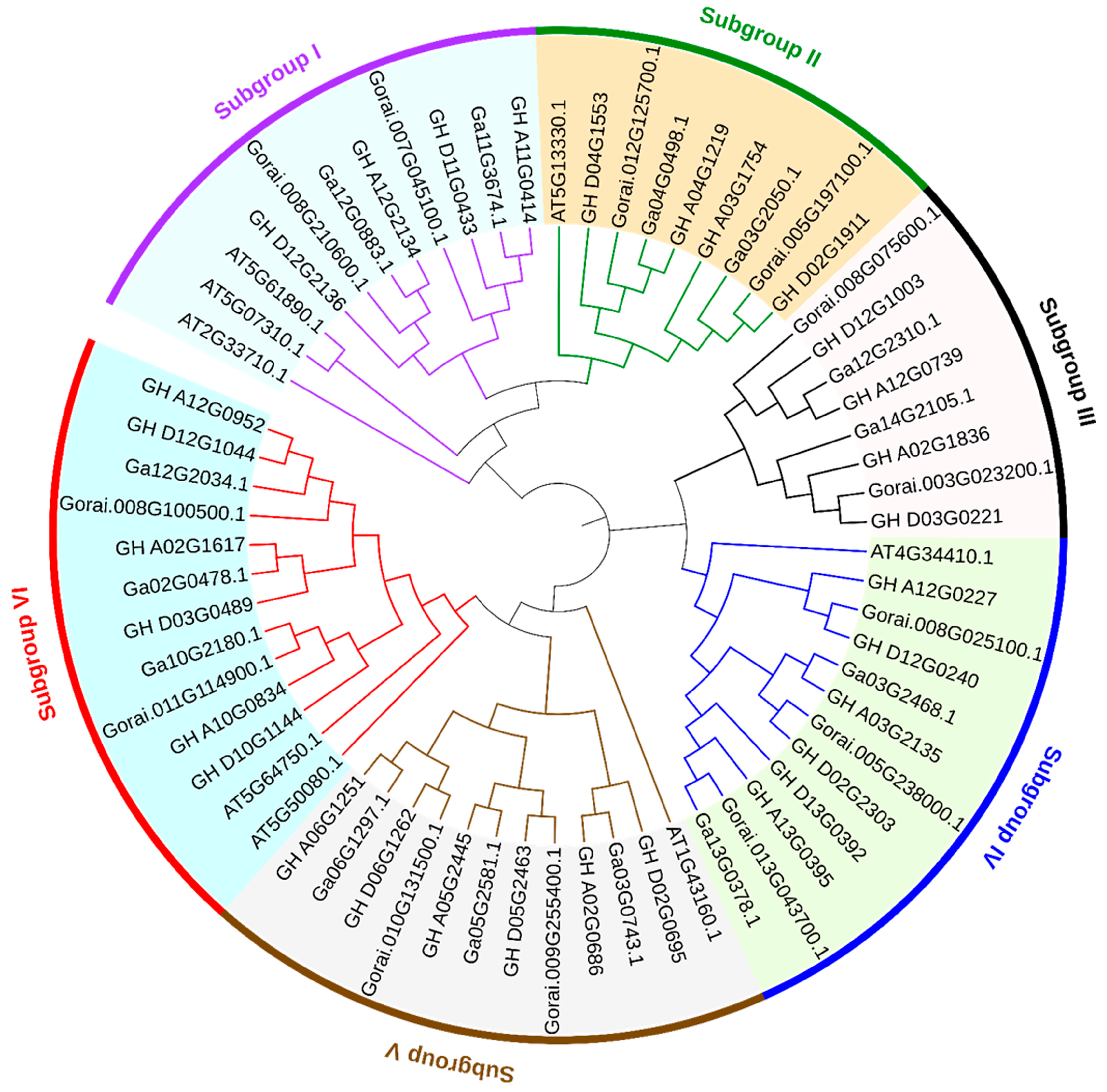 Biomolecules 13 01348 g001