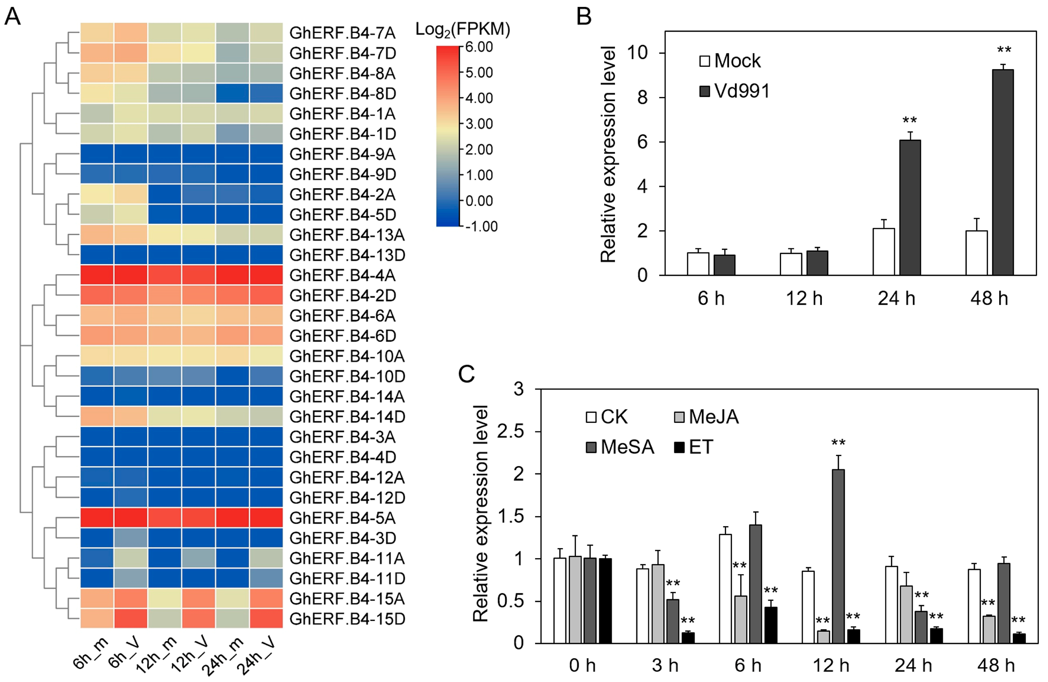 Biomolecules 13 01348 g005