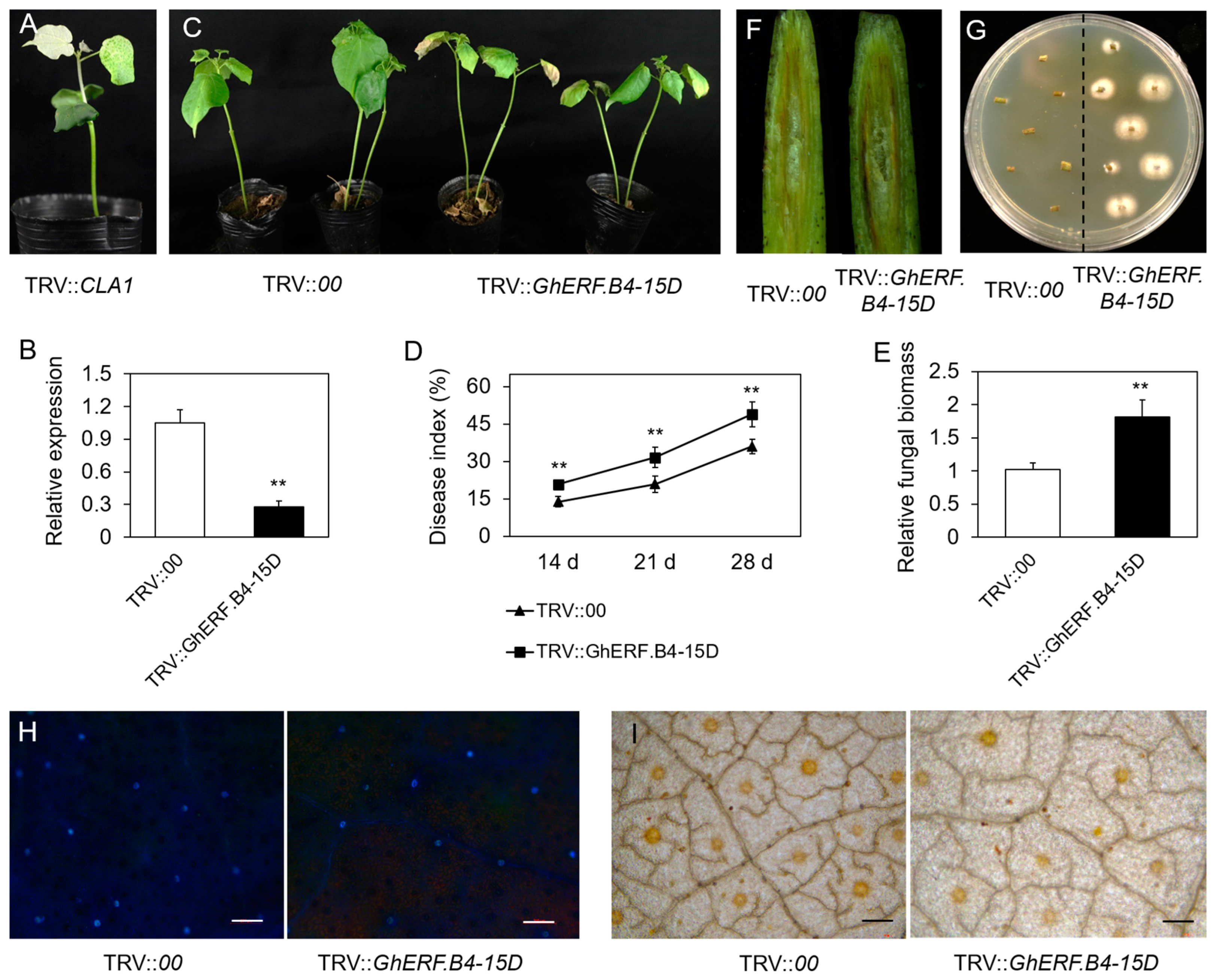 Biomolecules 13 01348 g007