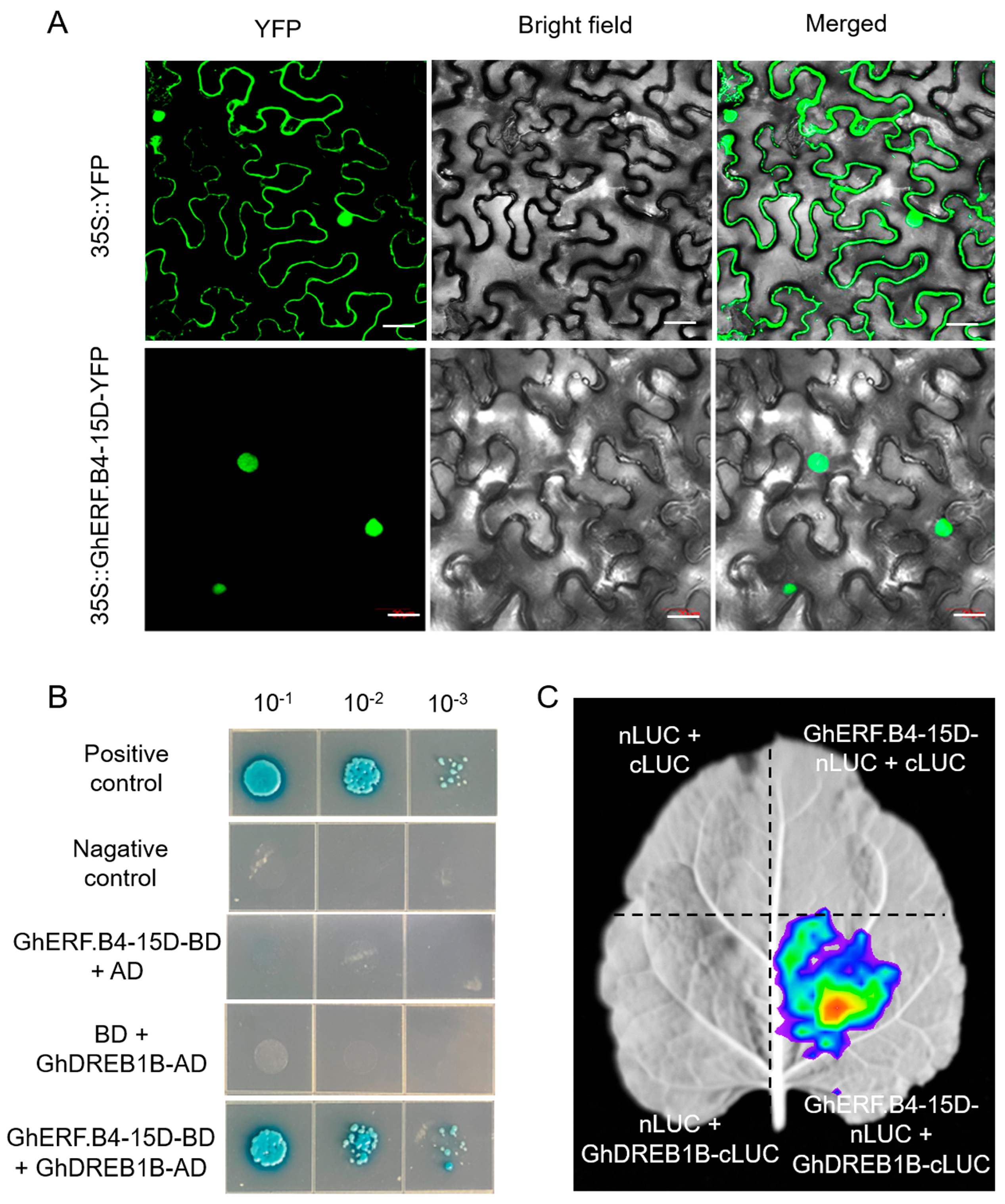 Biomolecules 13 01348 g008